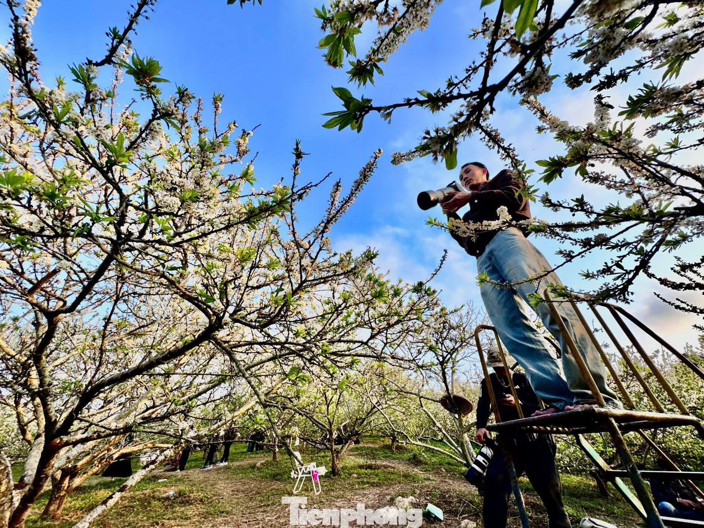 Kiếm bộn tiền nhờ dịch vụ &ldquo;sống ảo&rdquo; ăn theo m&ugrave;a hoa Mộc Ch&acirc;u- Ảnh 9.