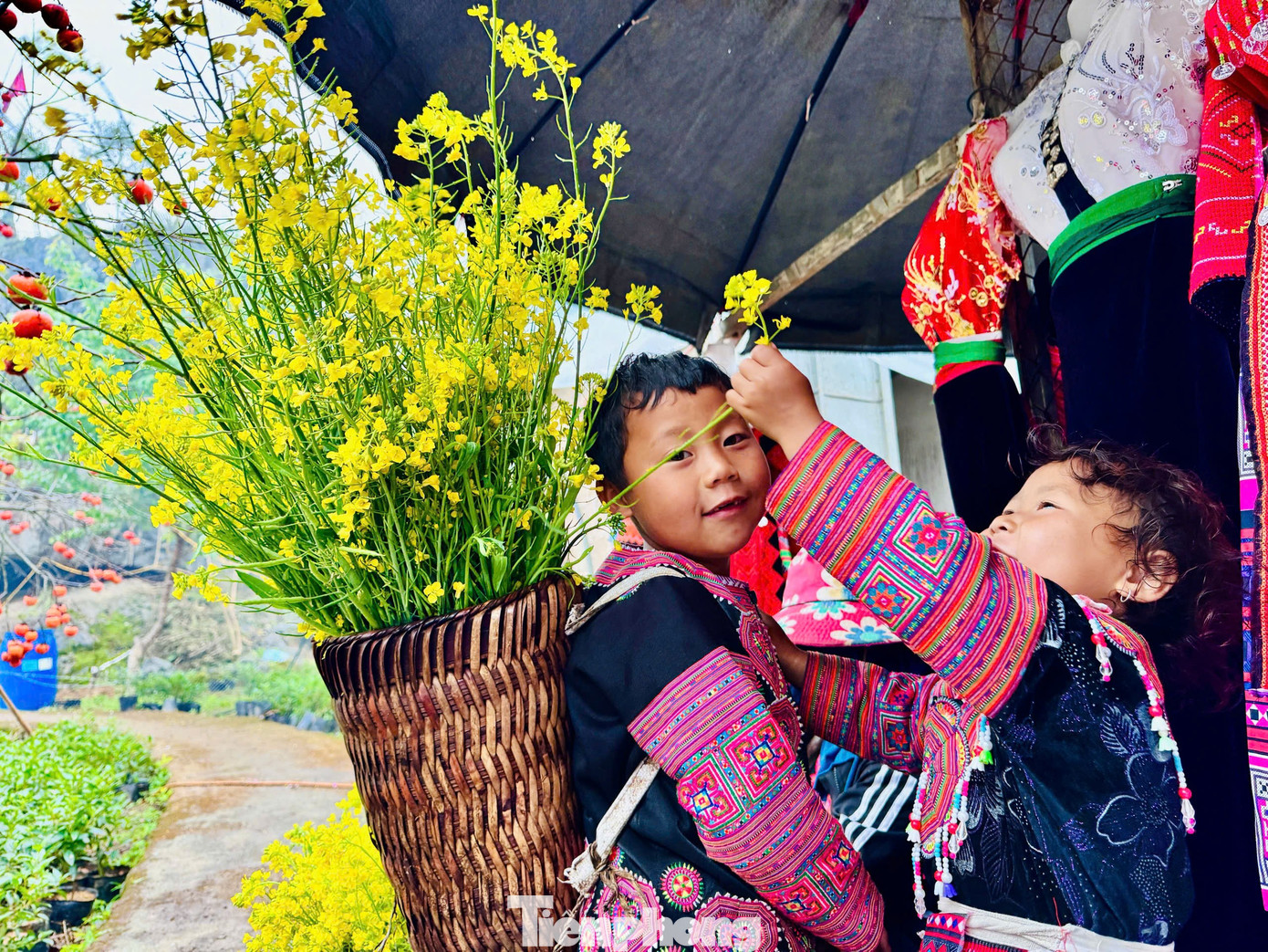 Kiếm bộn tiền nhờ dịch vụ &ldquo;sống ảo&rdquo; ăn theo m&ugrave;a hoa Mộc Ch&acirc;u- Ảnh 6.