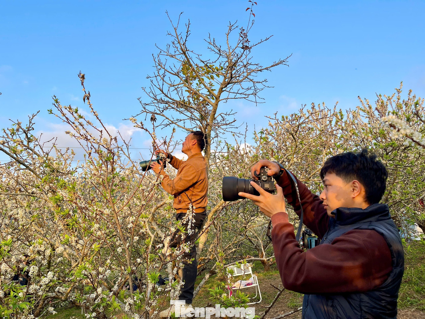 Kiếm bộn tiền nhờ dịch vụ &ldquo;sống ảo&rdquo; ăn theo m&ugrave;a hoa Mộc Ch&acirc;u- Ảnh 13.