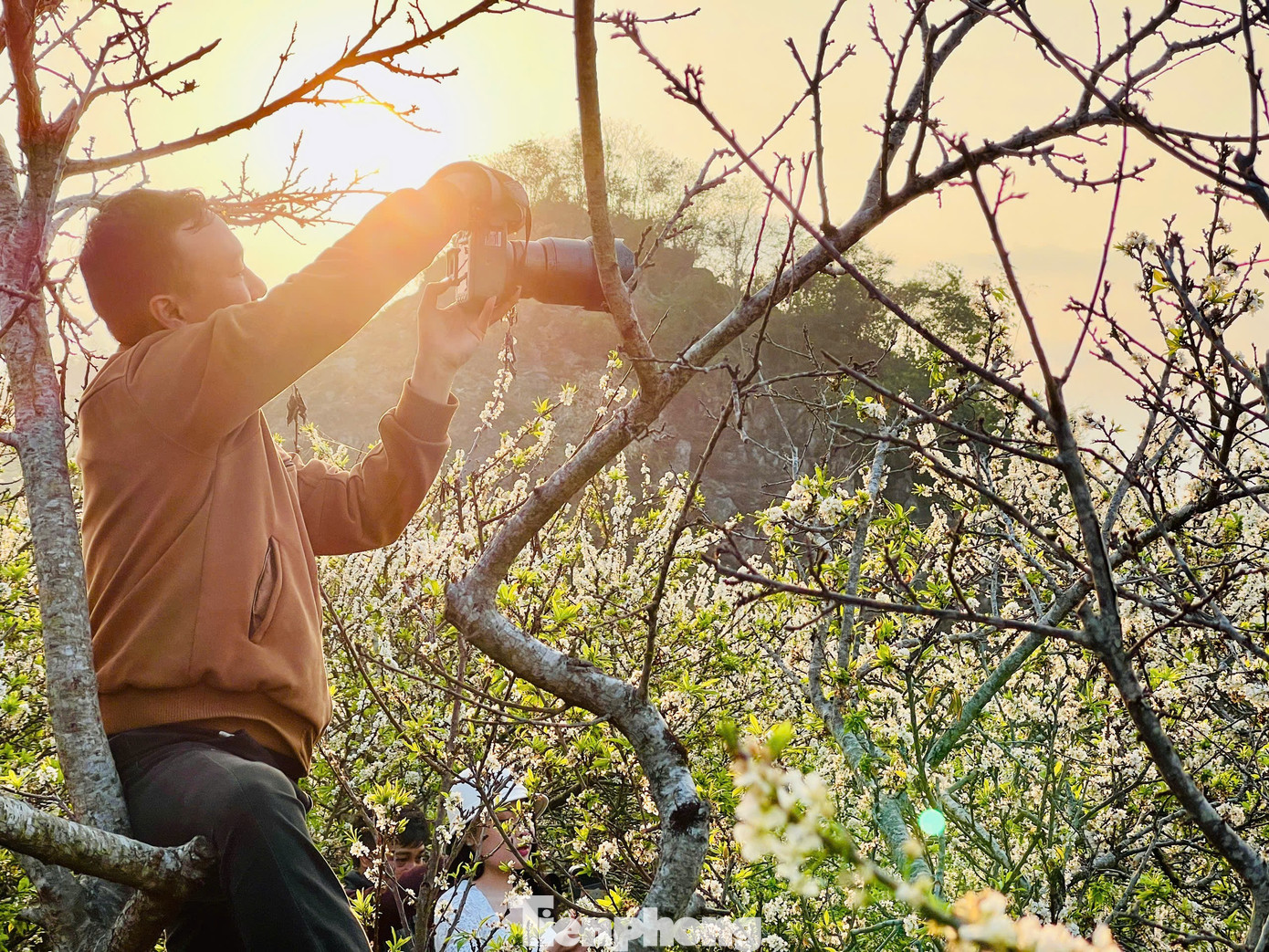 Kiếm bộn tiền nhờ dịch vụ &ldquo;sống ảo&rdquo; ăn theo m&ugrave;a hoa Mộc Ch&acirc;u- Ảnh 12.