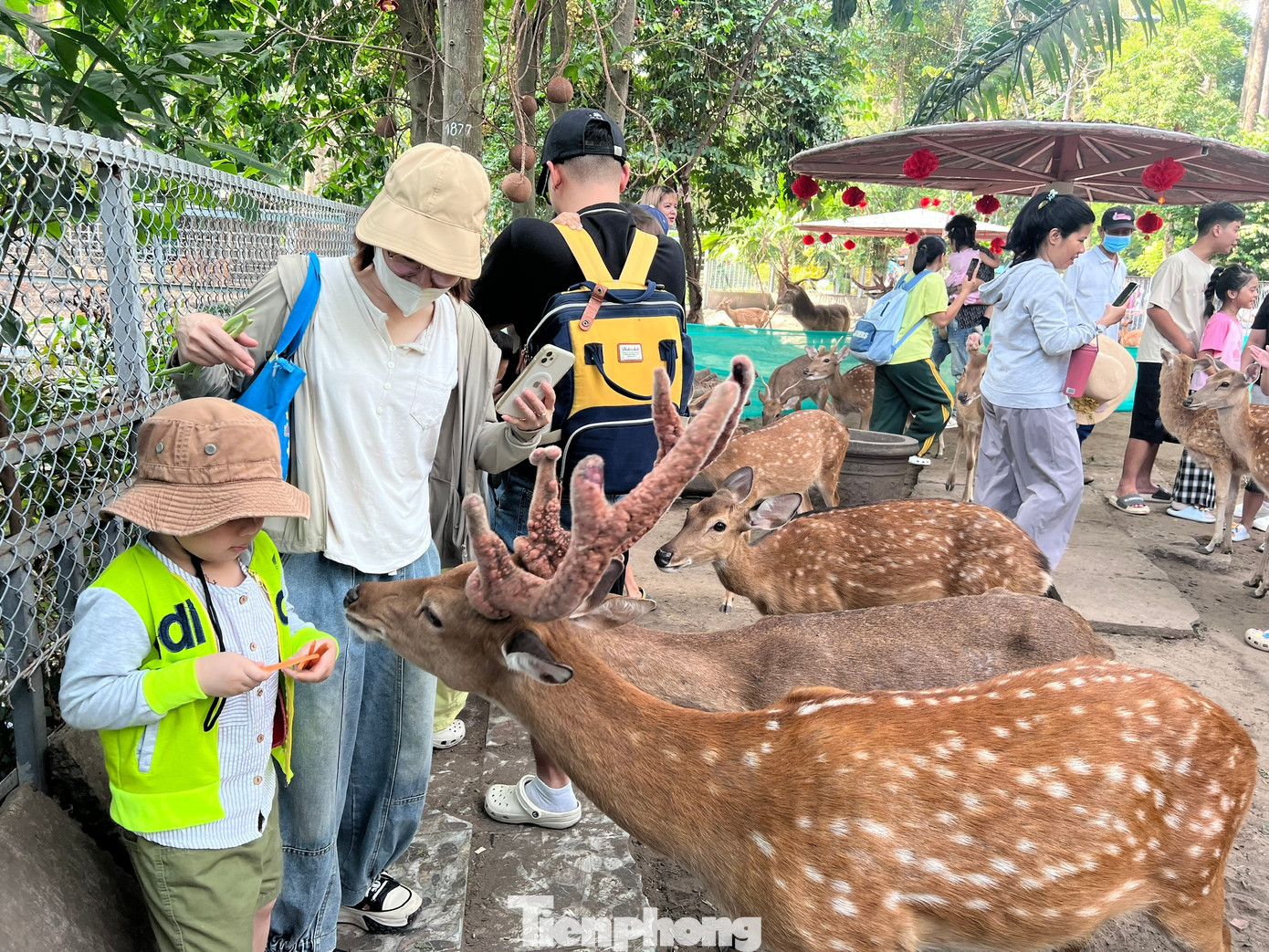 Thảo Cầm Vi&ecirc;n S&agrave;i G&ograve;n chật k&iacute;n người du xu&acirc;n- Ảnh 8.