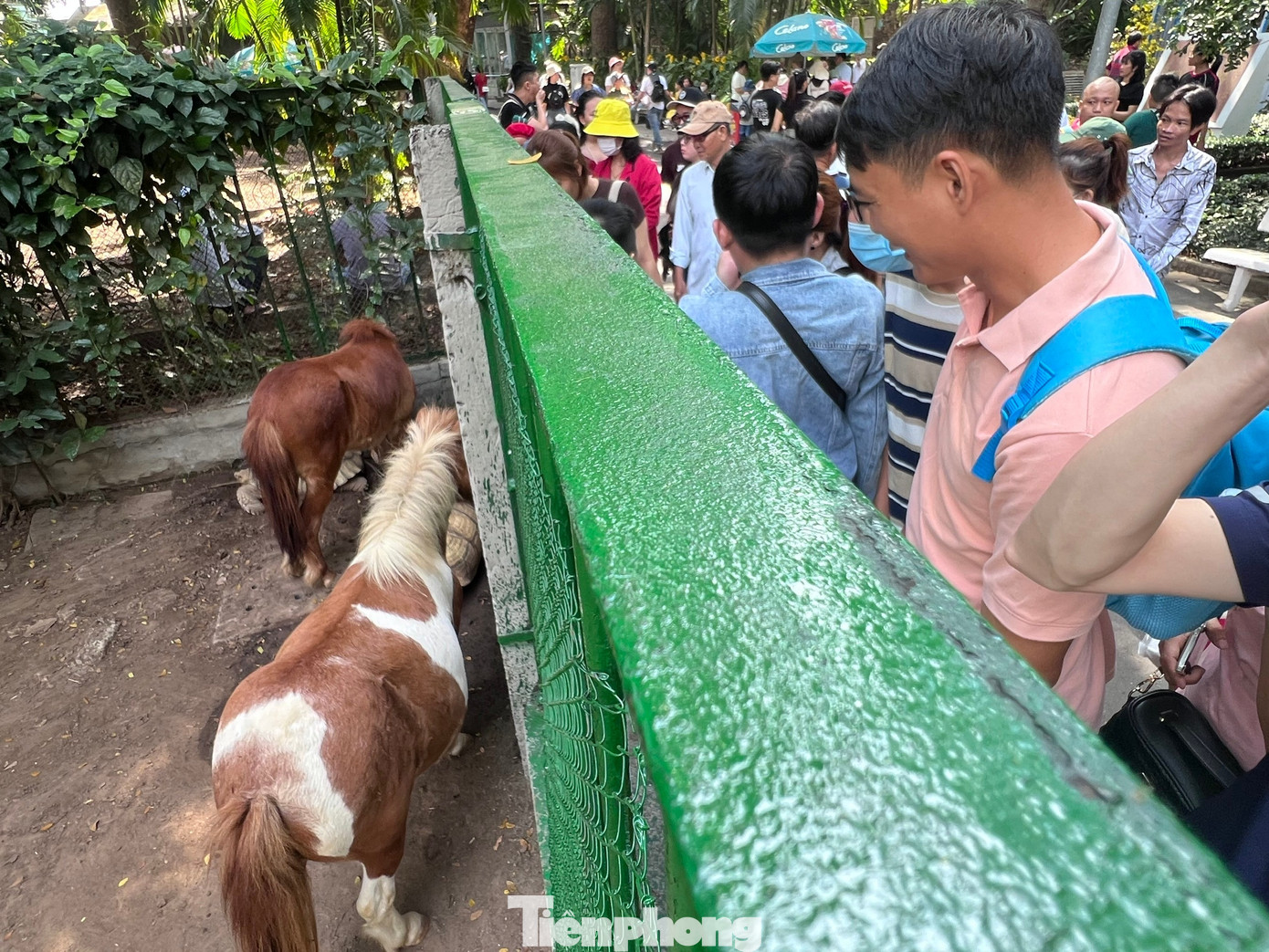 Thảo Cầm Vi&ecirc;n S&agrave;i G&ograve;n chật k&iacute;n người du xu&acirc;n- Ảnh 10.