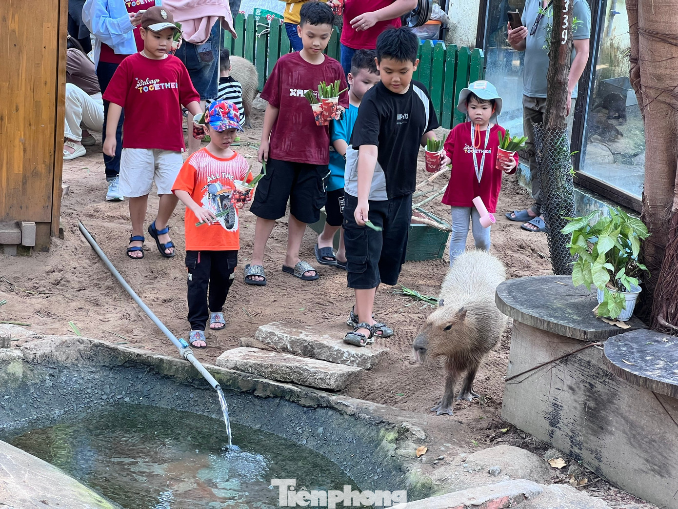 Thảo Cầm Vi&ecirc;n S&agrave;i G&ograve;n chật k&iacute;n người du xu&acirc;n- Ảnh 11.