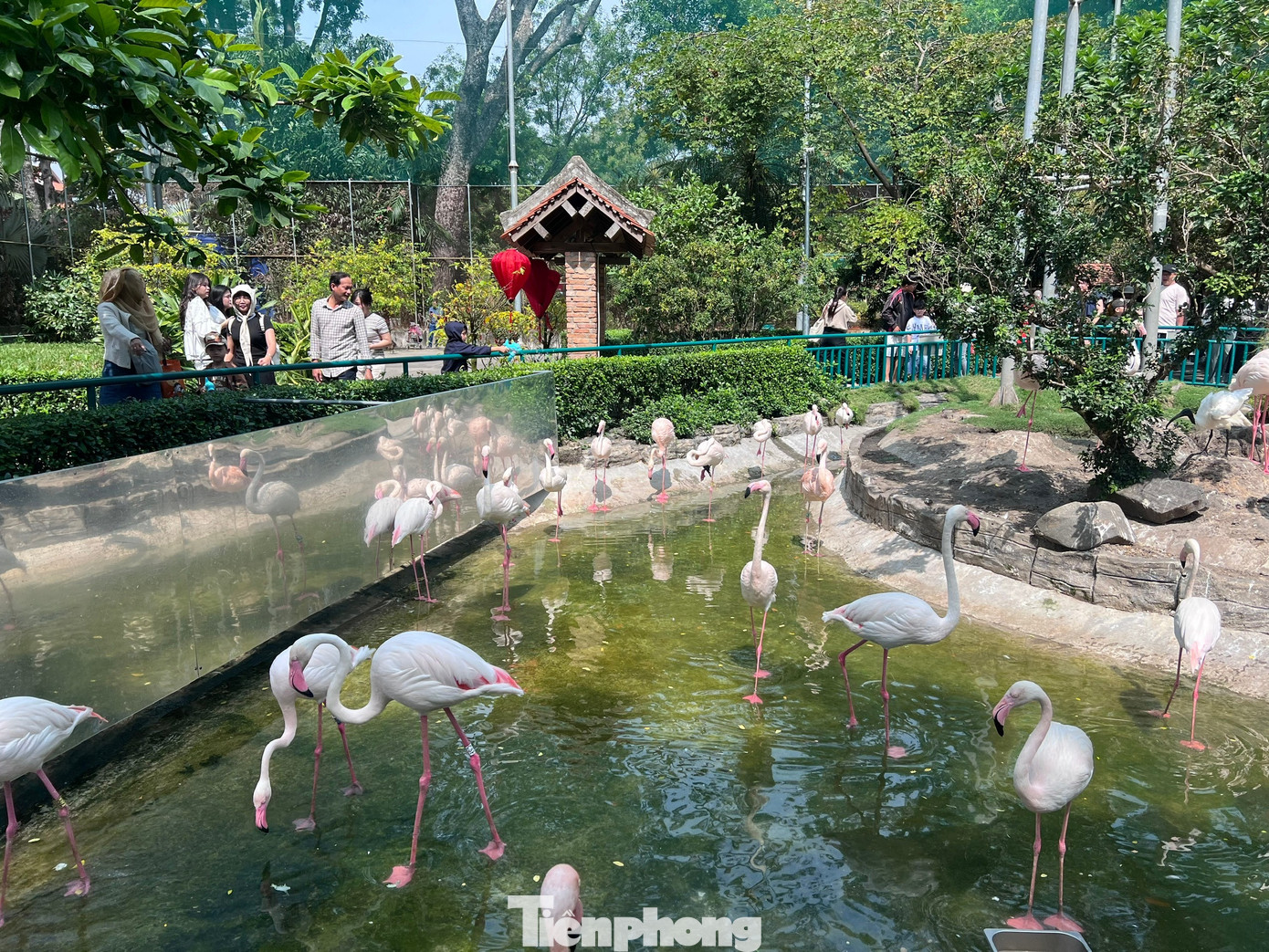 Thảo Cầm Vi&ecirc;n S&agrave;i G&ograve;n chật k&iacute;n người du xu&acirc;n- Ảnh 15.
