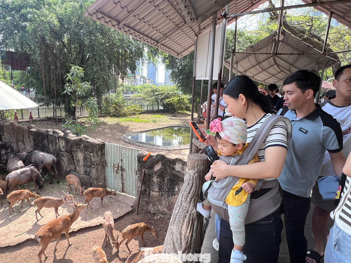 Thảo Cầm Vi&ecirc;n S&agrave;i G&ograve;n chật k&iacute;n người du xu&acirc;n- Ảnh 13.