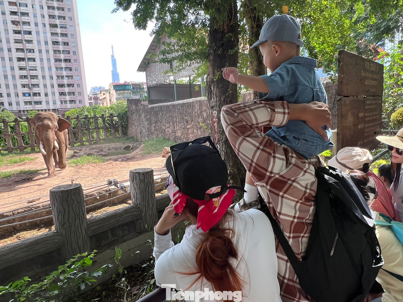 Thảo Cầm Vi&ecirc;n S&agrave;i G&ograve;n chật k&iacute;n người du xu&acirc;n- Ảnh 14.