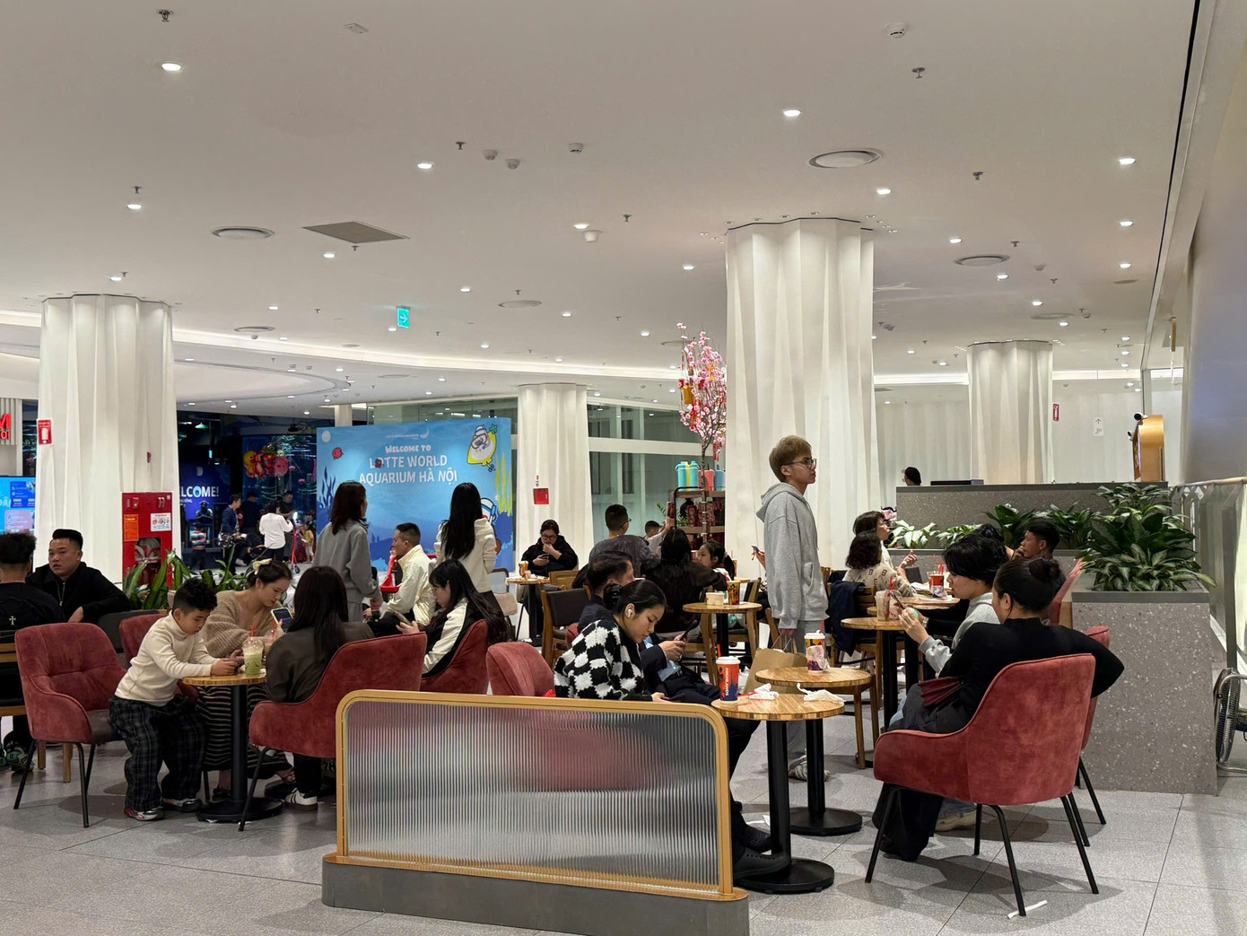 H&agrave; Nội: Xếp h&agrave;ng ăn phở, uống c&agrave; ph&ecirc; 'giải ngấy' ng&agrave;y Tết- Ảnh 7.