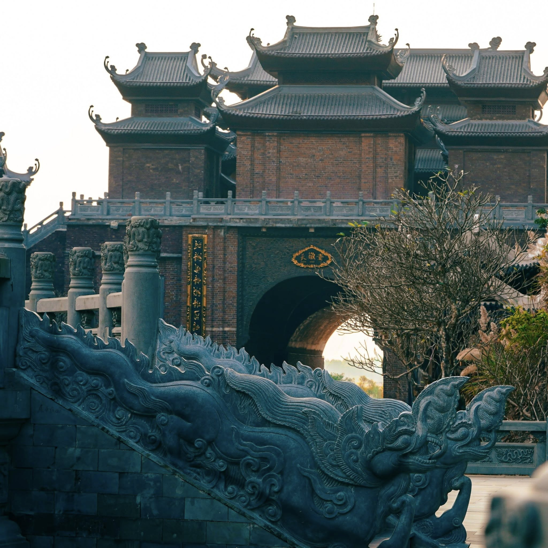 B&aacute;u vật 1000 năm tuổi ở Ninh B&igrave;nh vừa lộ diện đ&atilde; g&oacute;p c&ocirc;ng lớn, gi&uacute;p to&agrave;n tỉnh hốt trọn 2.000 tỉ đồng dịp Tết năm nay- Ảnh 3.