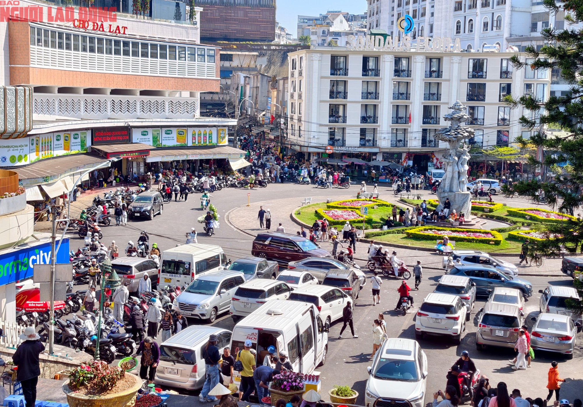 M&ugrave;ng 6 Tết, Đ&agrave; Lạt vẫn rộn r&agrave;ng kh&aacute;ch du xu&acirc;n- Ảnh 6.