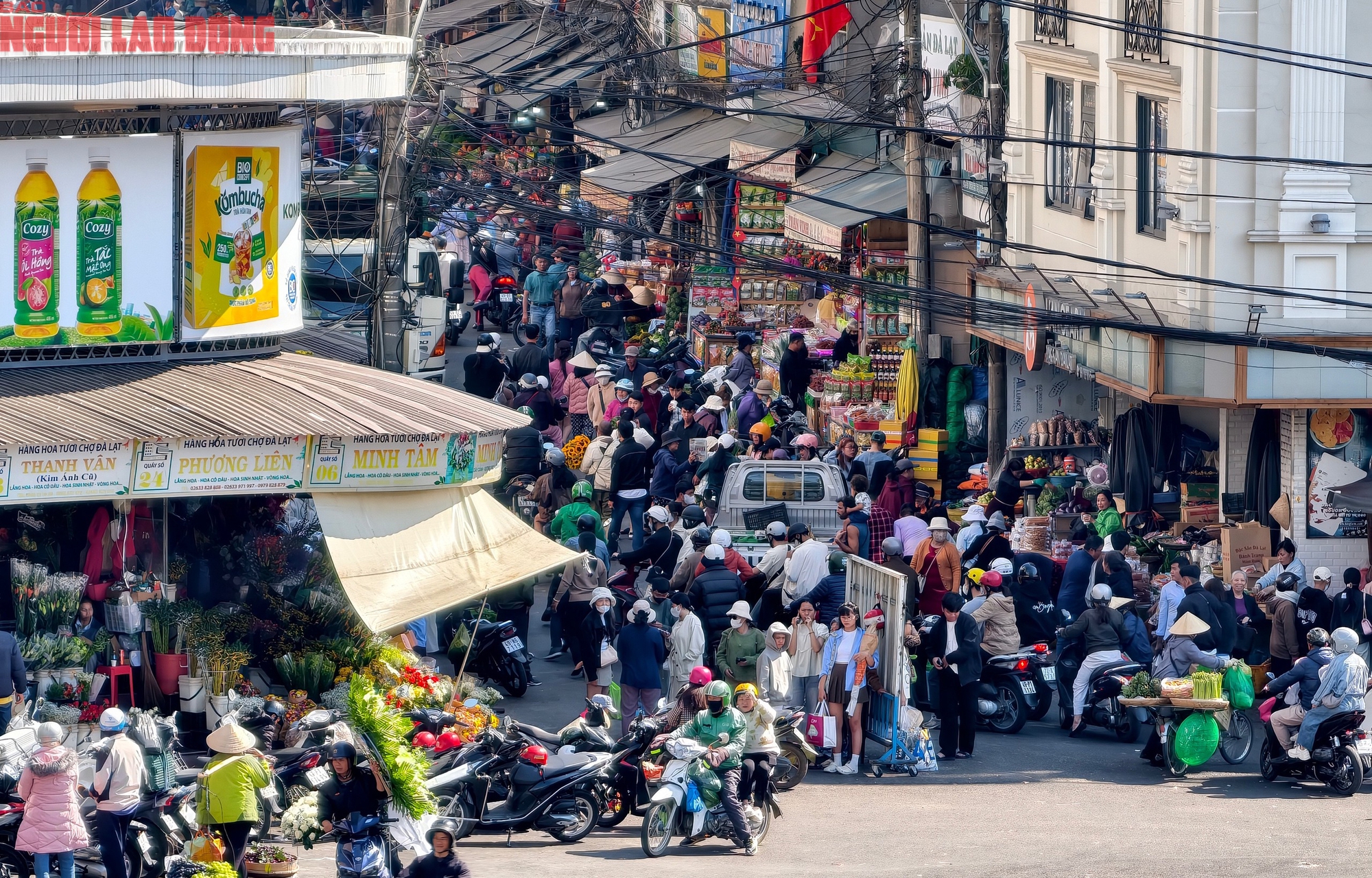 M&ugrave;ng 6 Tết, Đ&agrave; Lạt vẫn rộn r&agrave;ng kh&aacute;ch du xu&acirc;n- Ảnh 7.