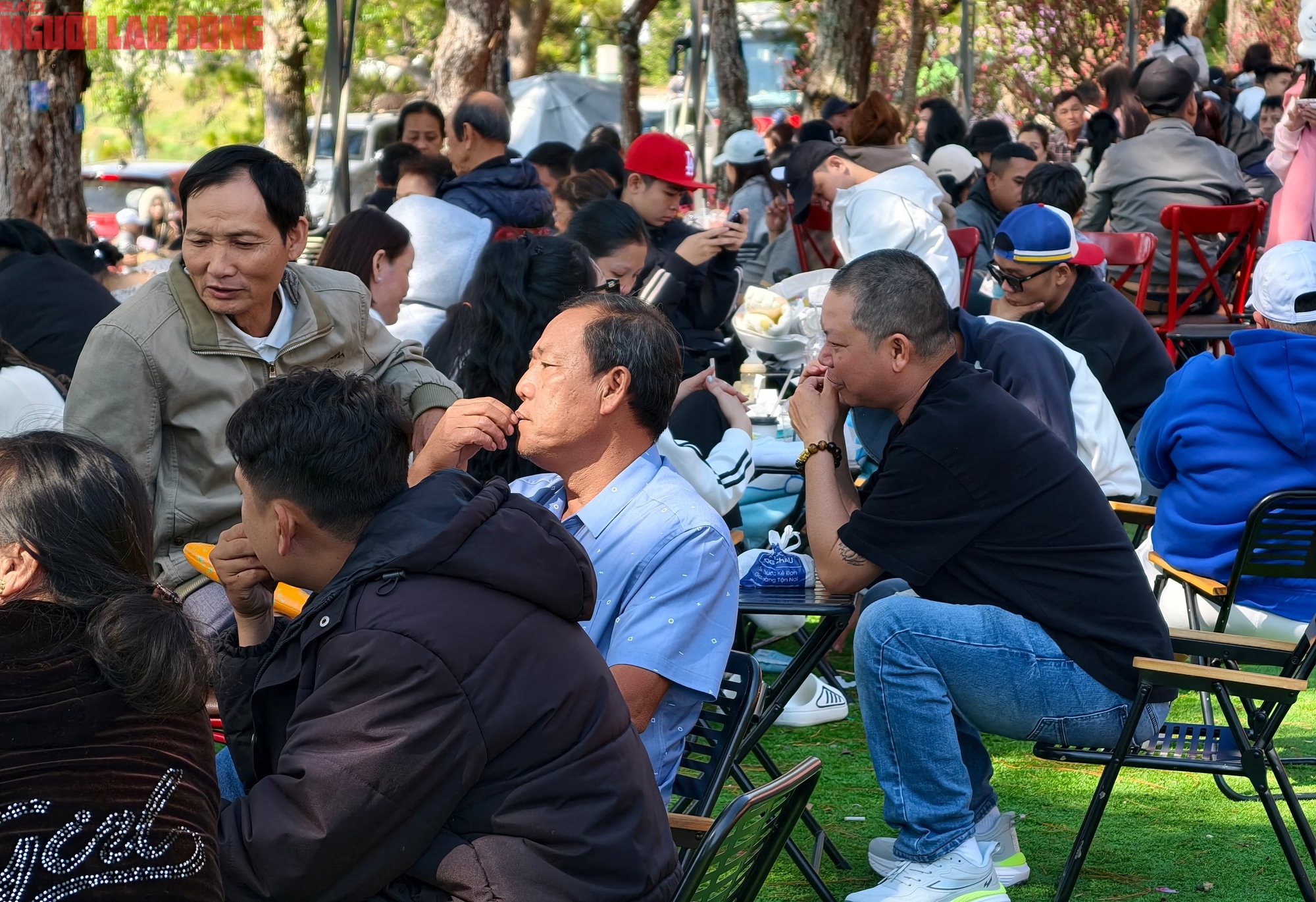 M&ugrave;ng 6 Tết, Đ&agrave; Lạt vẫn rộn r&agrave;ng kh&aacute;ch du xu&acirc;n- Ảnh 9.