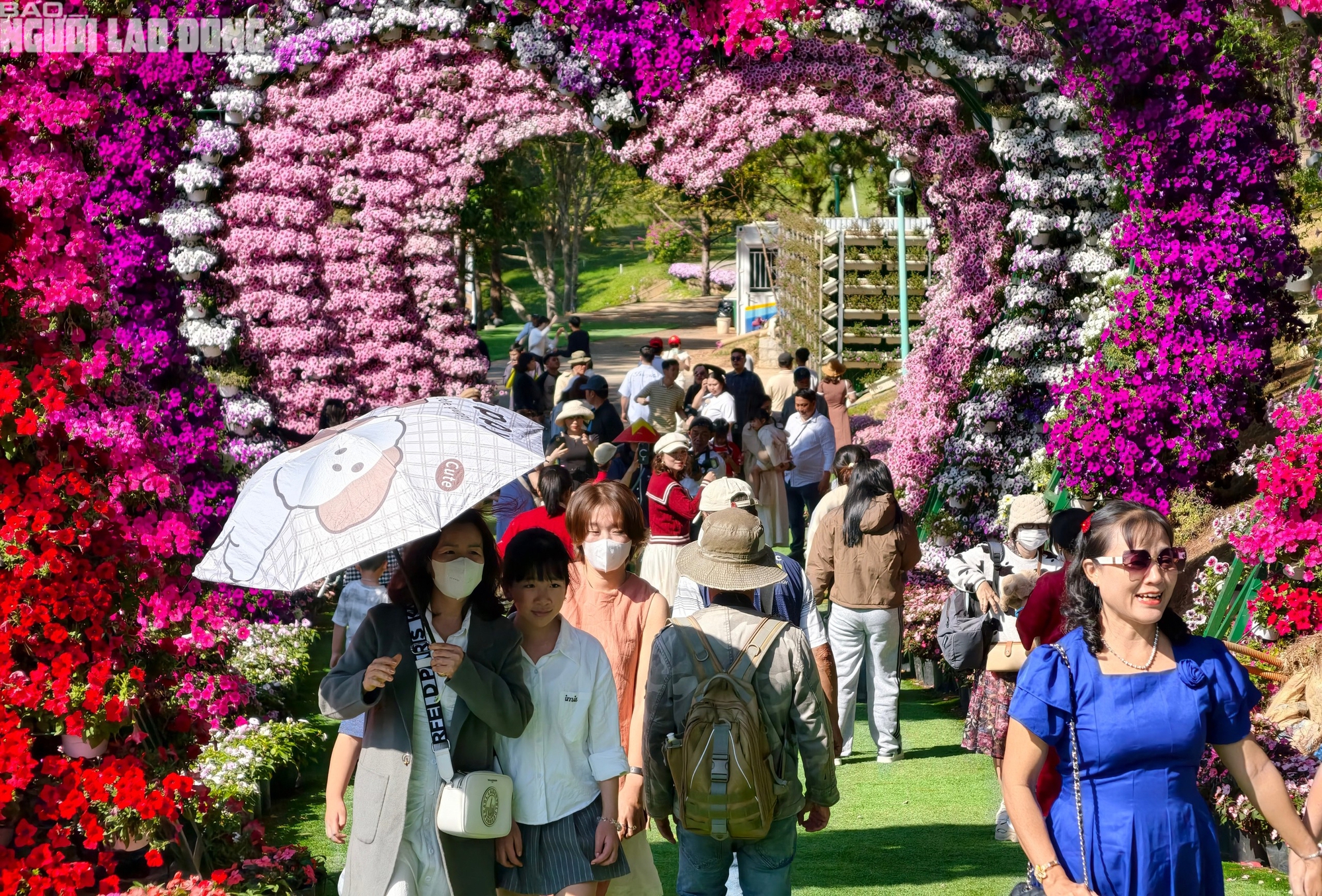 M&ugrave;ng 6 Tết, Đ&agrave; Lạt vẫn rộn r&agrave;ng kh&aacute;ch du xu&acirc;n- Ảnh 10.