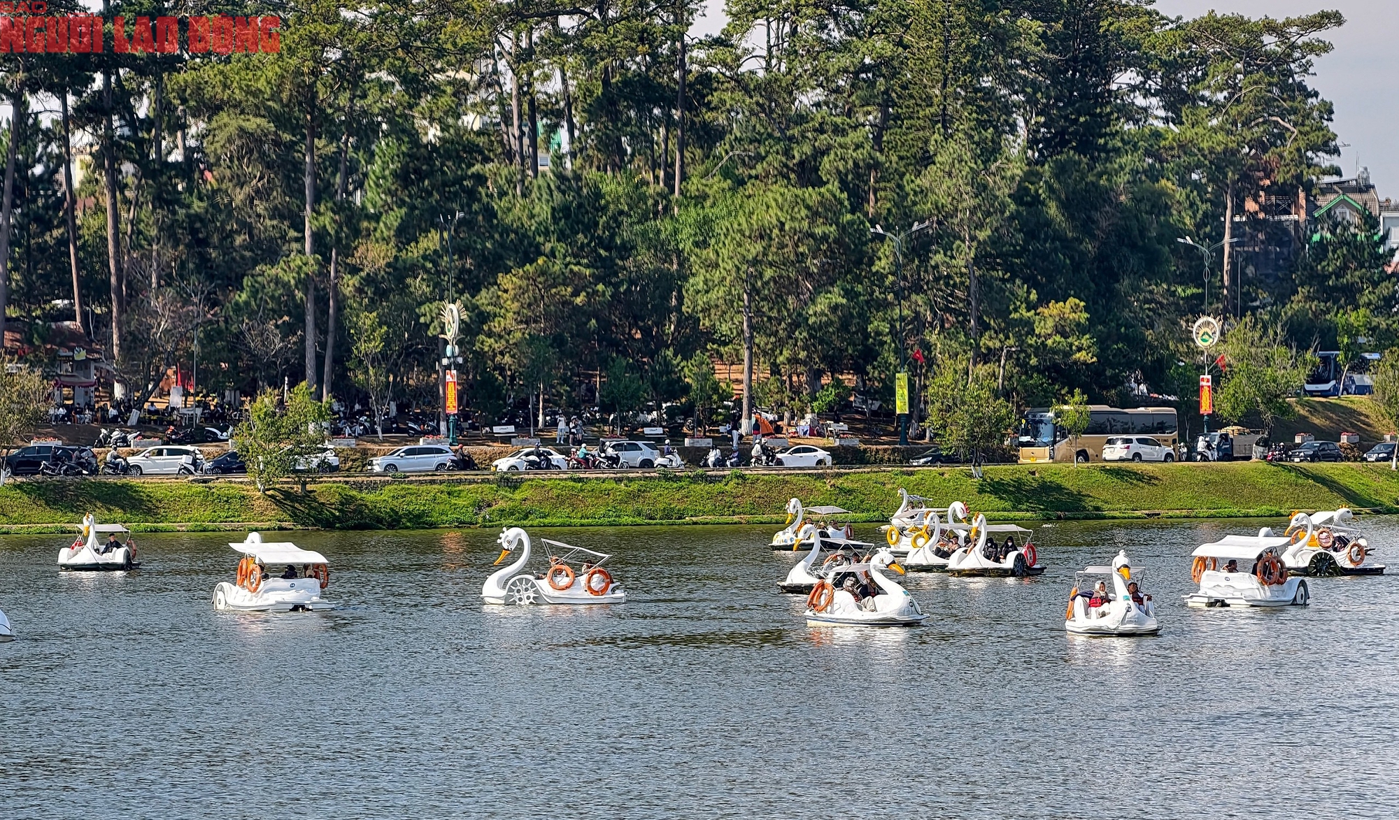M&ugrave;ng 6 Tết, Đ&agrave; Lạt vẫn rộn r&agrave;ng kh&aacute;ch du xu&acirc;n- Ảnh 13.