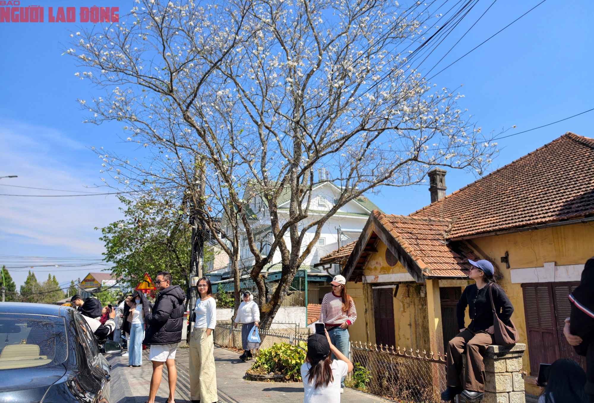 M&ugrave;ng 6 Tết, Đ&agrave; Lạt vẫn rộn r&agrave;ng kh&aacute;ch du xu&acirc;n- Ảnh 15.