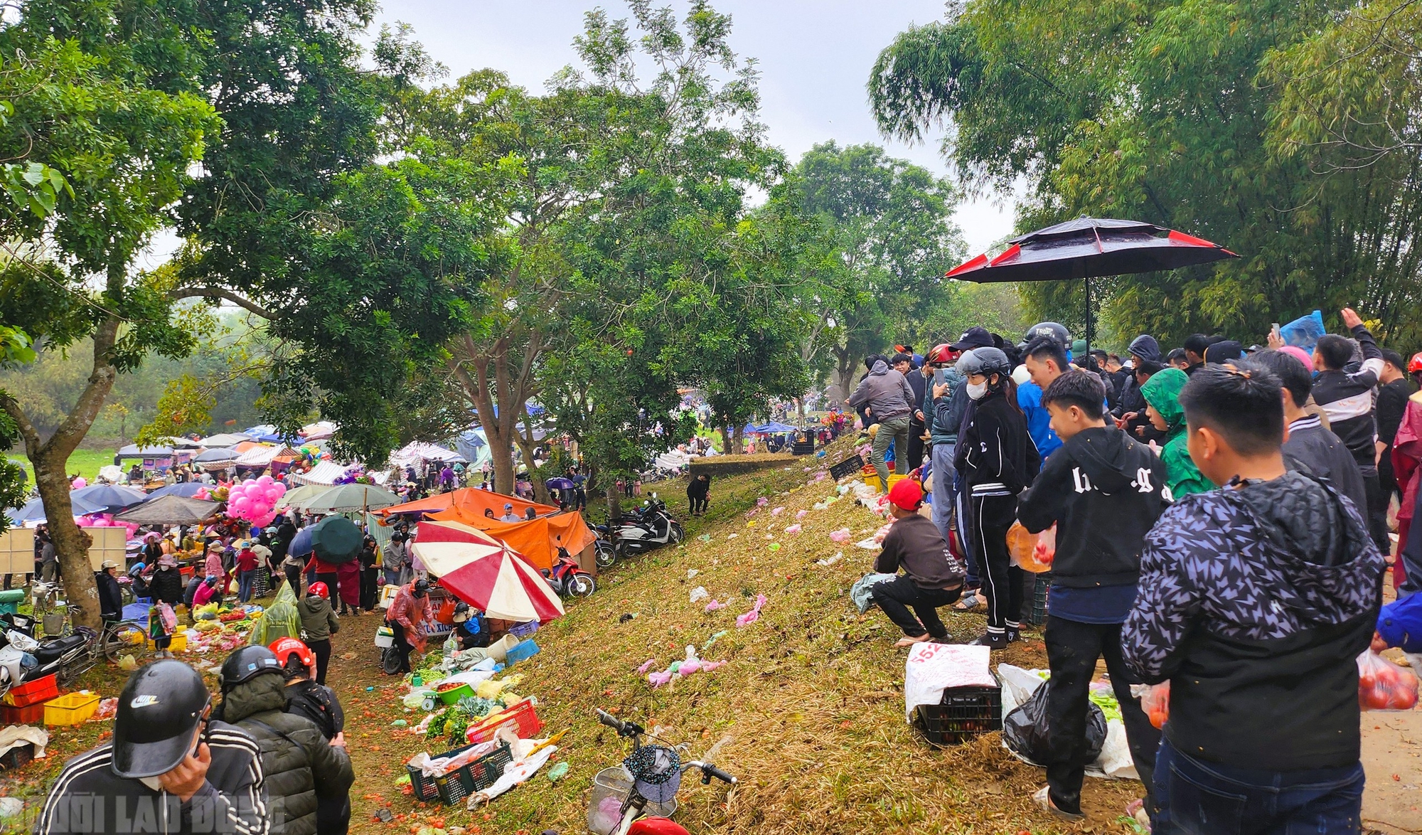 Cứ nhằm m&ugrave;ng 6 Tết, người d&acirc;n lại k&eacute;o nhau đi chợ "choảng nhau" cầu may- Ảnh 2.