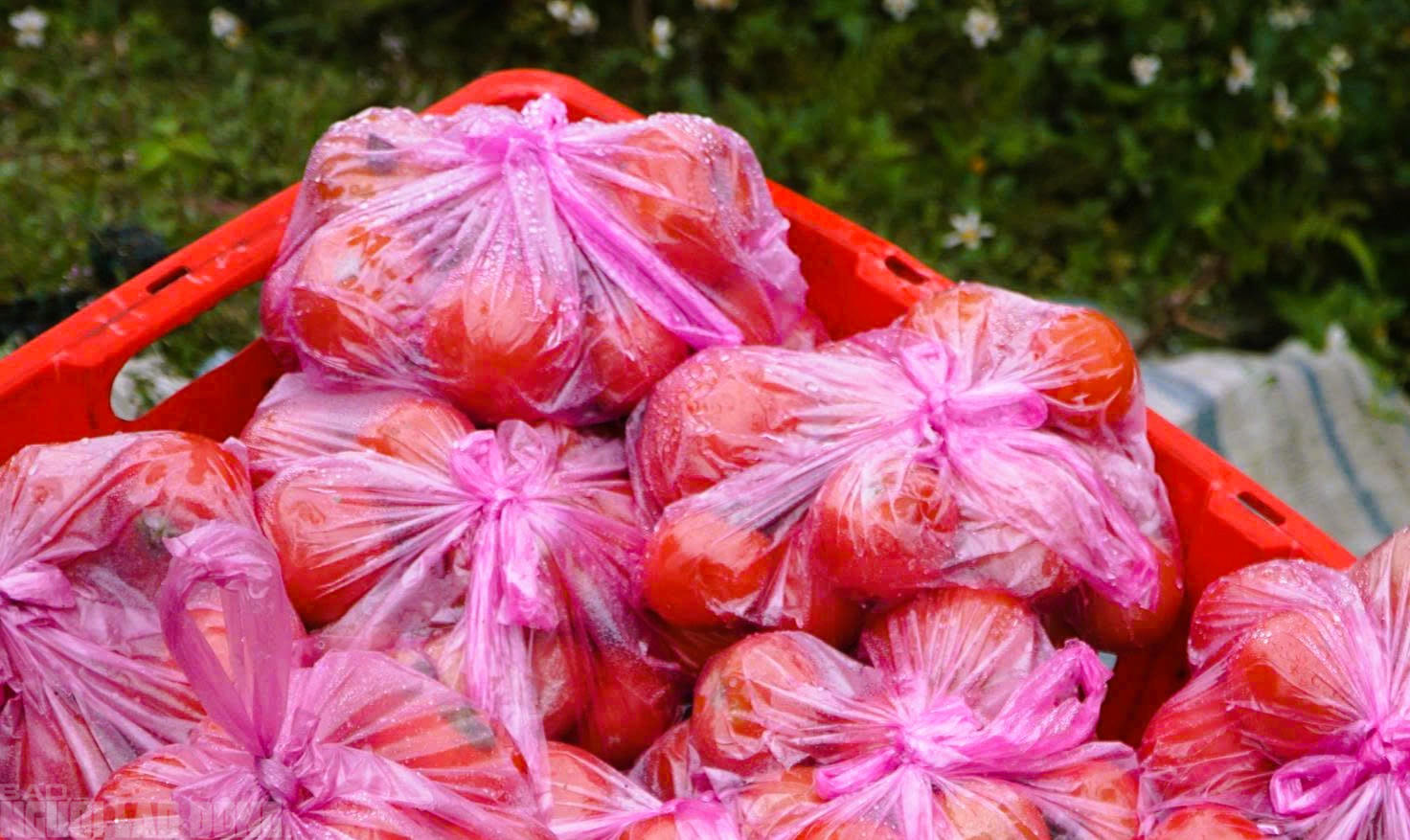 Cứ nhằm m&ugrave;ng 6 Tết, người d&acirc;n lại k&eacute;o nhau đi chợ "choảng nhau" cầu may- Ảnh 4.