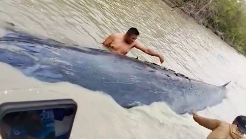 Đi đ&aacute;nh c&aacute;, ngư d&acirc;n ph&aacute;t hiện thứ khổng lồ d&agrave;i 15 m&eacute;t nổi tr&ecirc;n s&ocirc;ng- Ảnh 1.