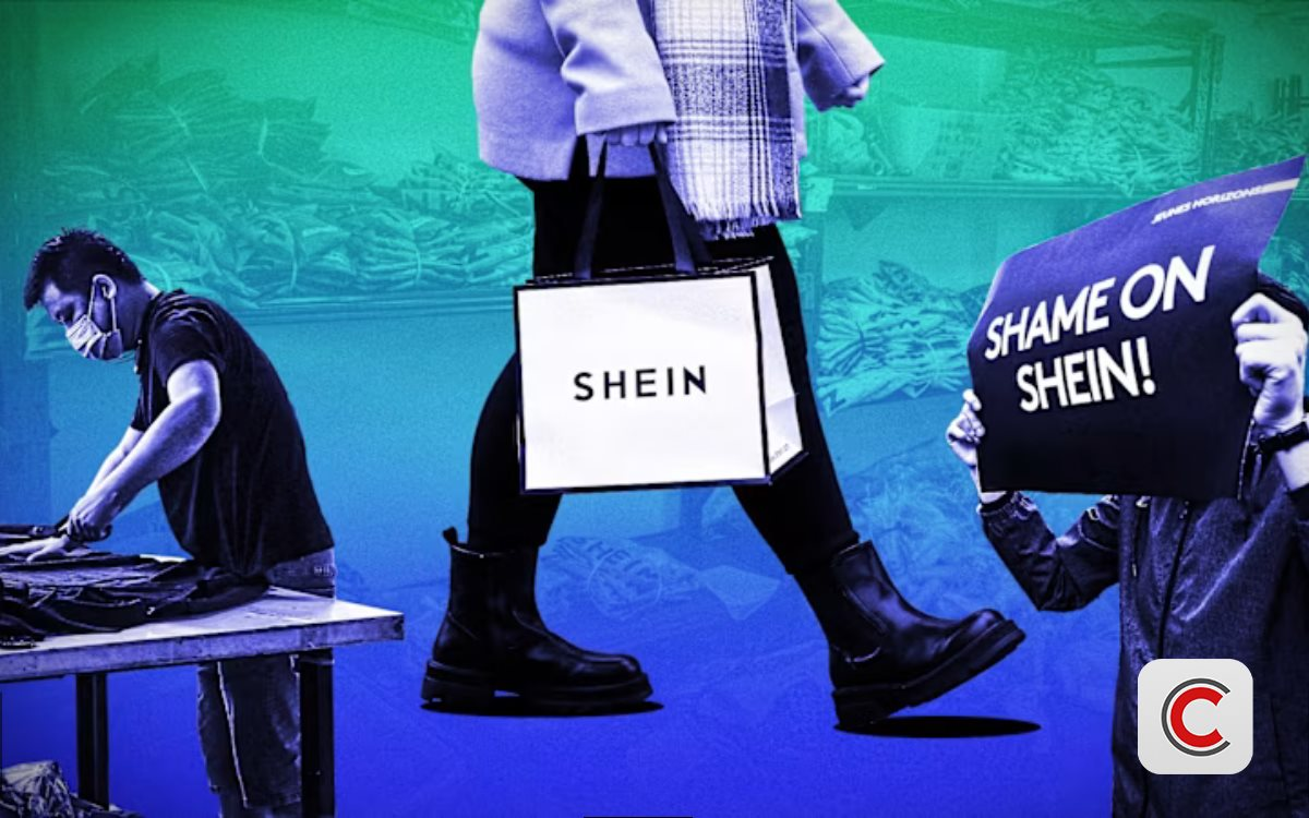 H&atilde;ng thời trang nổi tiếng bị hải quan truy qu&eacute;t thuế, 300.000 kiện h&agrave;ng bị kiểm tra, đối mặt &aacute;n phạt tiền tỷ- Ảnh 1.