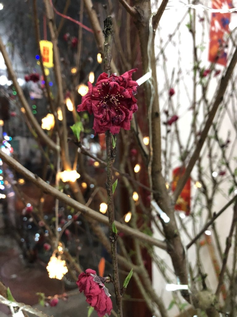 Qua m&ugrave;ng 8 Tết: Tiễn ngay 3 thứ n&agrave;y khỏi nh&agrave; kẻo xui cả năm, tiền l&agrave;m bao nhi&ecirc;u cũng hết sạch- Ảnh 1.