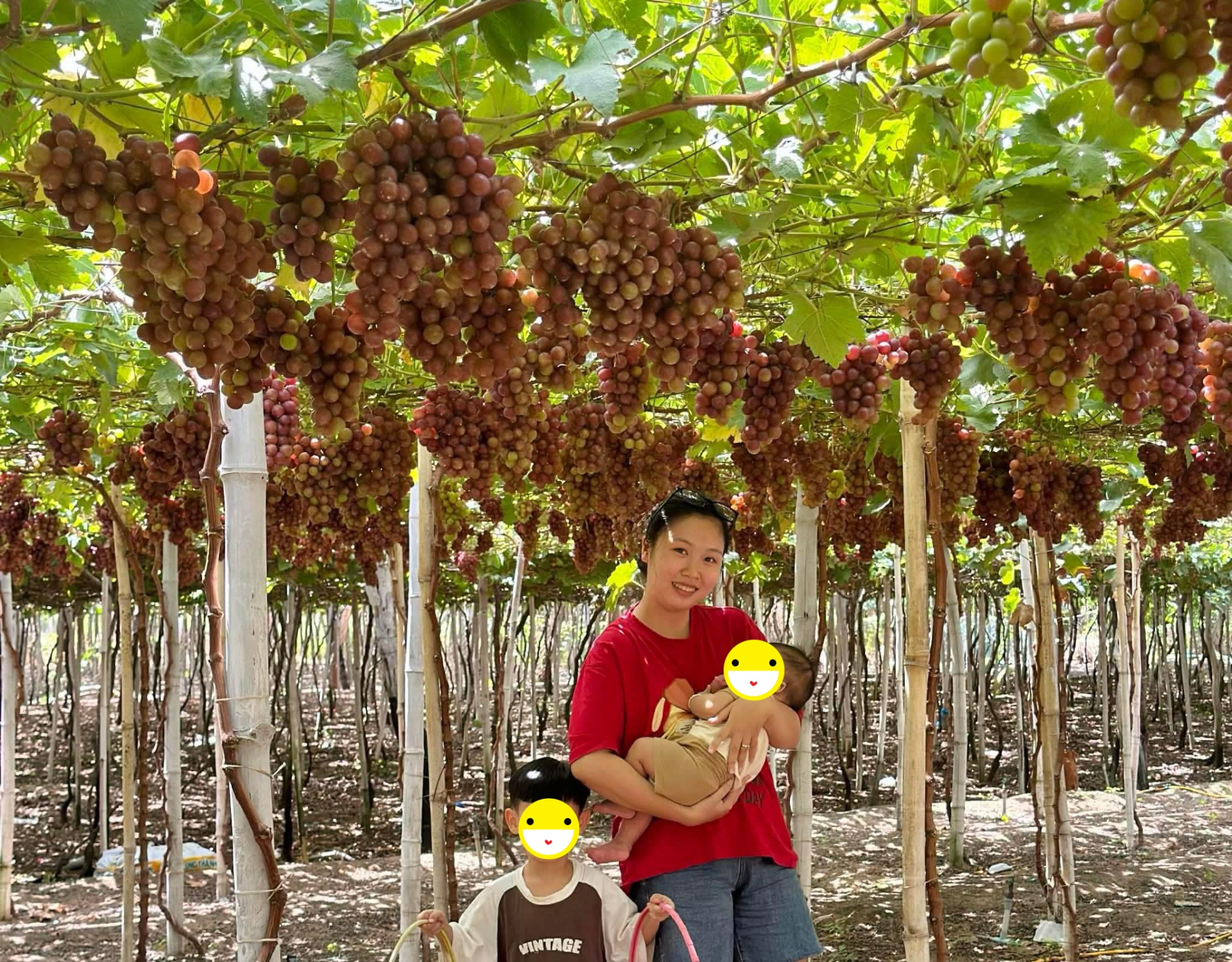 Danh t&iacute;nh người gi&uacute;p việc l&igrave; x&igrave; tiền triệu cho chủ nh&agrave; ở TP.HCM: C&oacute; 2 con đều sống ở nước ngo&agrave;i, đi l&agrave;m để đỡ buồn ch&aacute;n- Ảnh 3.