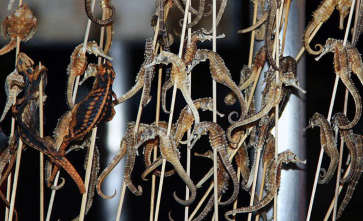 7 món đặc sản kinh dị ở Trung Quốc: Nhìn ảnh đã rùng mình, nói gì đến chuyện nếm thử- Ảnh 3. 7 món đặc sản kinh dị ở Trung Quốc: Nhìn ảnh đã rùng mình, nói gì đến chuyện nếm thử- Ảnh 3.