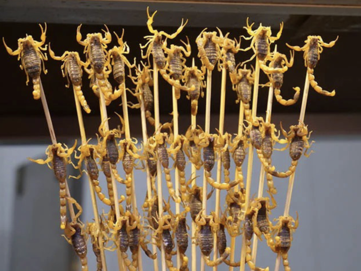 7 món đặc sản kinh dị ở Trung Quốc: Nhìn ảnh đã rùng mình, nói gì đến chuyện nếm thử- Ảnh 6. 7 món đặc sản kinh dị ở Trung Quốc: Nhìn ảnh đã rùng mình, nói gì đến chuyện nếm thử- Ảnh 6.