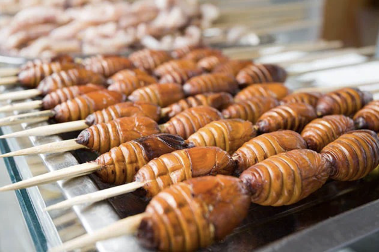 7 món đặc sản kinh dị ở Trung Quốc: Nhìn ảnh đã rùng mình, nói gì đến chuyện nếm thử- Ảnh 7. 7 món đặc sản kinh dị ở Trung Quốc: Nhìn ảnh đã rùng mình, nói gì đến chuyện nếm thử- Ảnh 7.