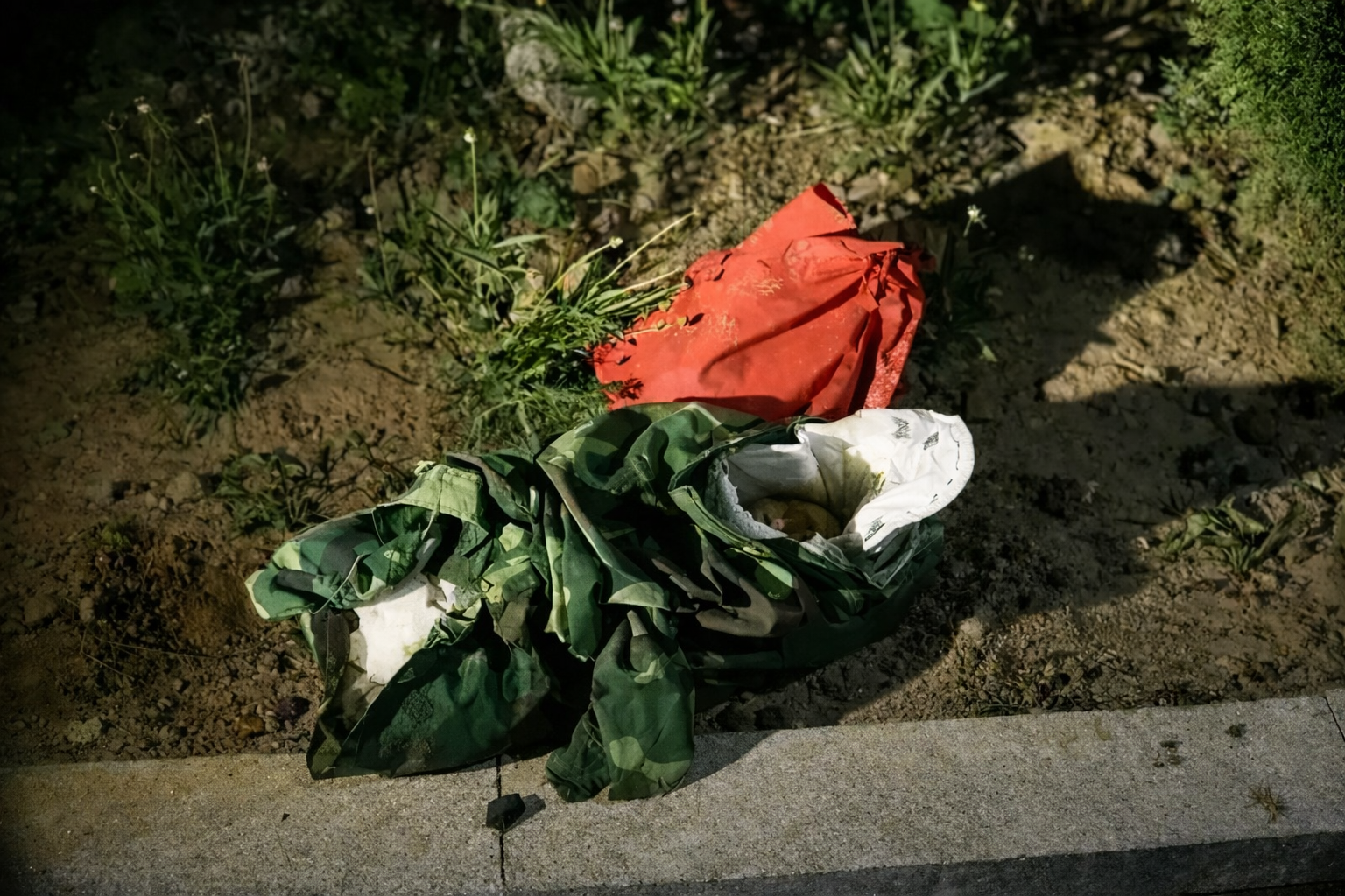 B&eacute; g&aacute;i bị bỏ rơi được nhận nu&ocirc;i, 27 năm sau th&agrave;nh tiến sĩ, lương tiền tỷ/năm: Ng&agrave;y cha mẹ đẻ t&igrave;m đến, c&ocirc; chỉ n&oacute;i 7 chữ!- Ảnh 1.