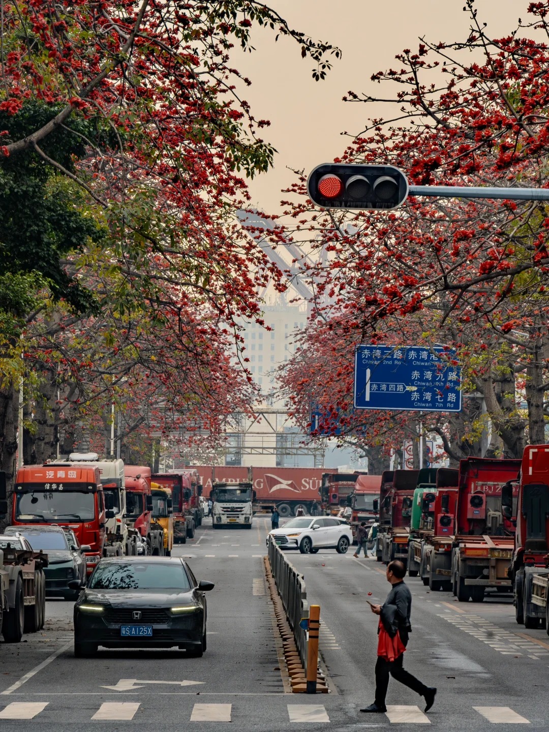 V&igrave; sao hoa gạo thắp lửa đỏ rực cả g&oacute;c trời nhưng người xưa dặn tuyệt đối kh&ocirc;ng trồng s&aacute;t nh&agrave; hay cắm l&agrave;m cảnh?- Ảnh 23.