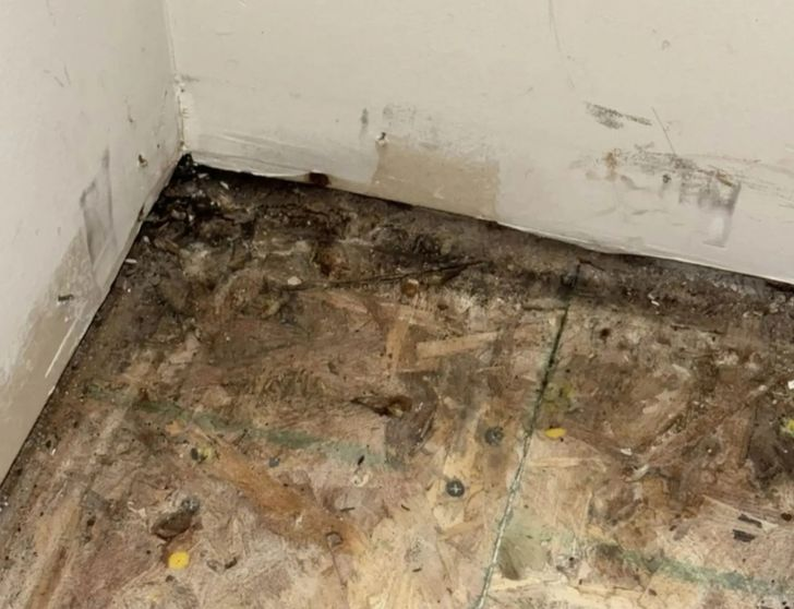 Bỏ 10 tỷ mua nhà, dọn vào ở được vài tháng, người phụ nữ mắc phải căn bệnh lạ khiến cơ thể biến dạng- Ảnh 2. Bỏ 10 tỷ mua nhà, dọn vào ở được vài tháng, người phụ nữ mắc phải căn bệnh lạ khiến cơ thể biến dạng- Ảnh 2.