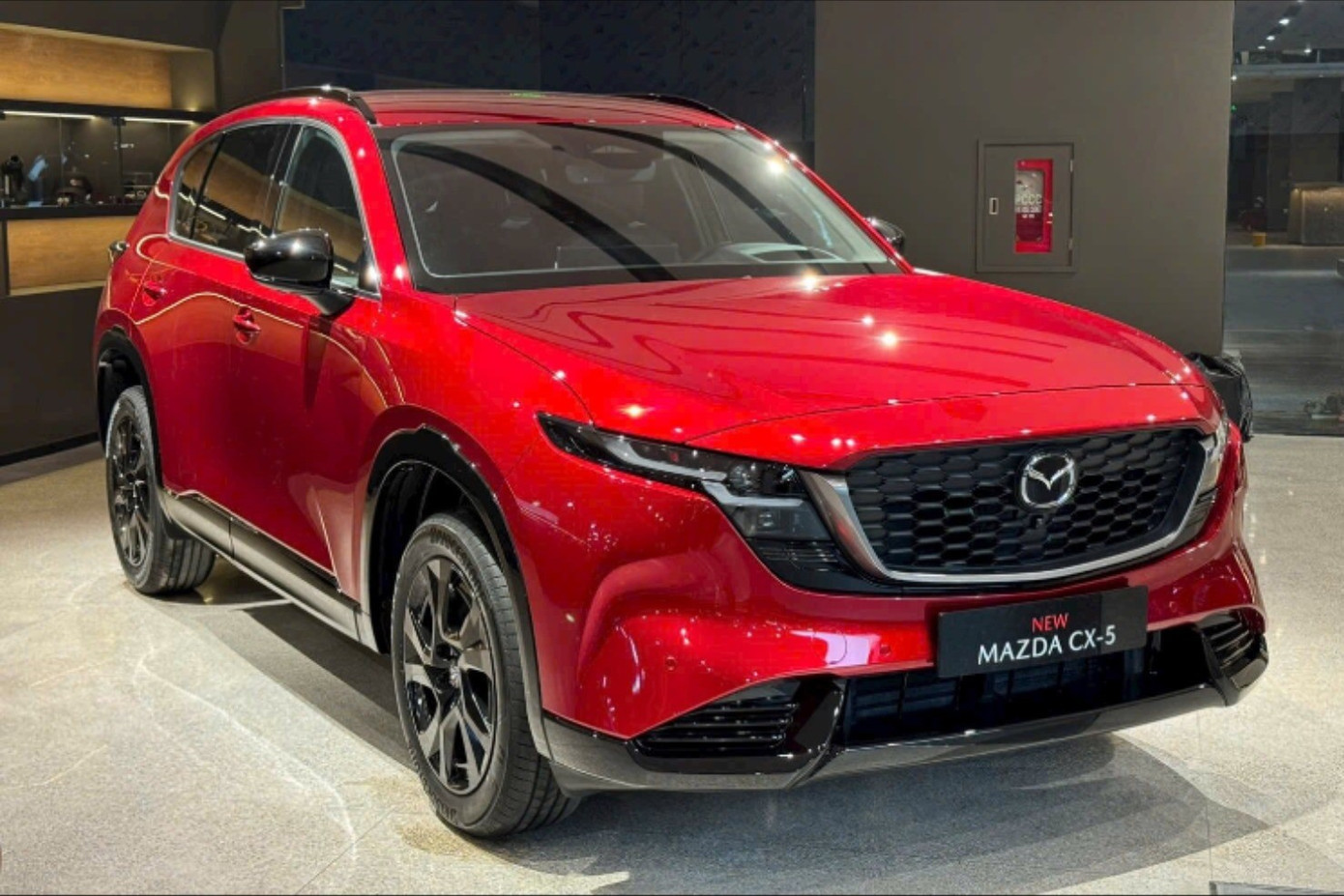 Những mẫu &ocirc; t&ocirc; đ&aacute;ng ch&uacute; &yacute; ra mắt Việt Nam trong năm mới- Ảnh 2.