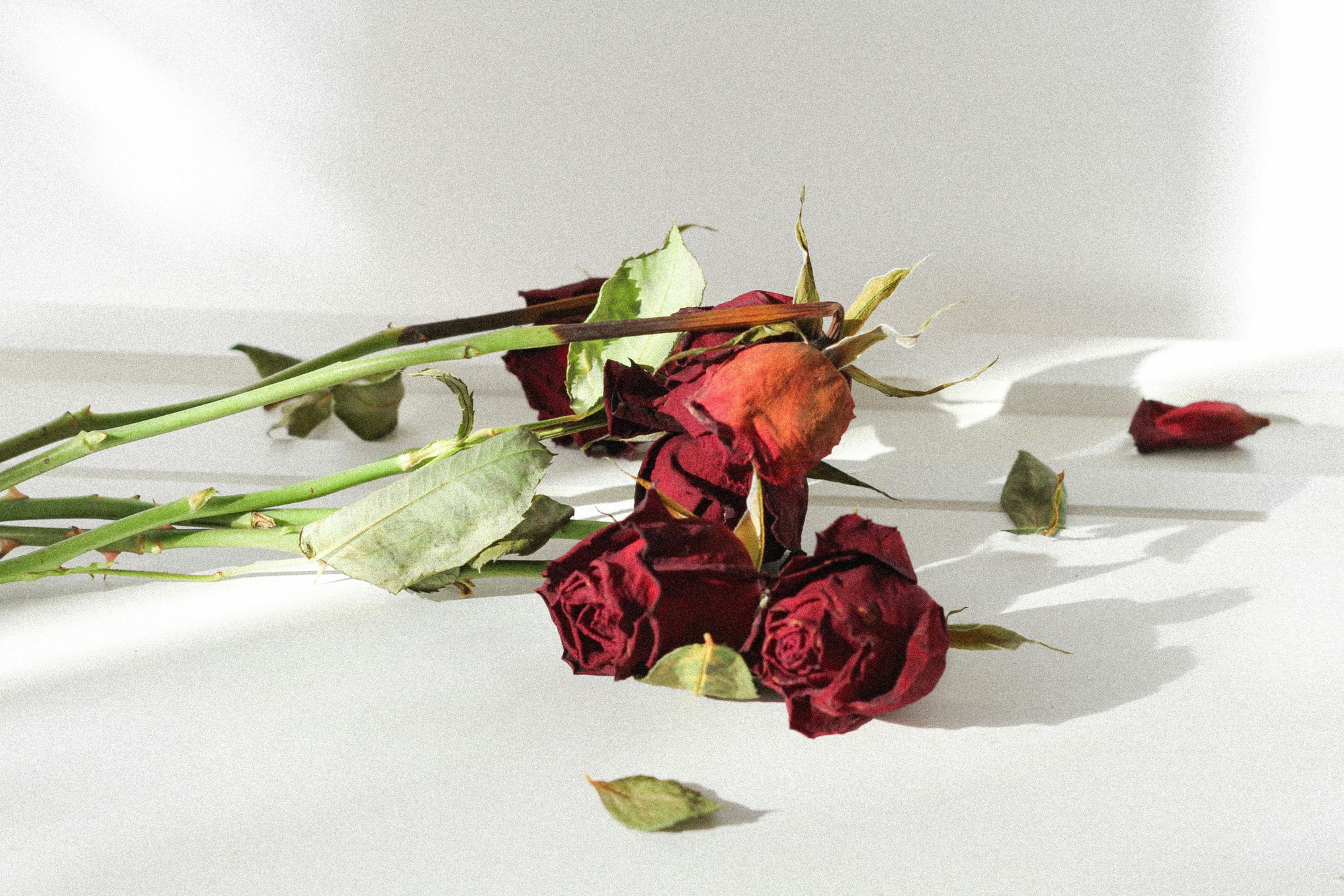 Qua mùng 7 Tết: 3 thứ trên bàn thờ nên thay ngay kẻo bề trên giận dữ, dễ xui cả năm- Ảnh 1. Qua mùng 7 Tết: 3 thứ trên bàn thờ nên thay ngay kẻo bề trên giận dữ, dễ xui cả năm- Ảnh 1.