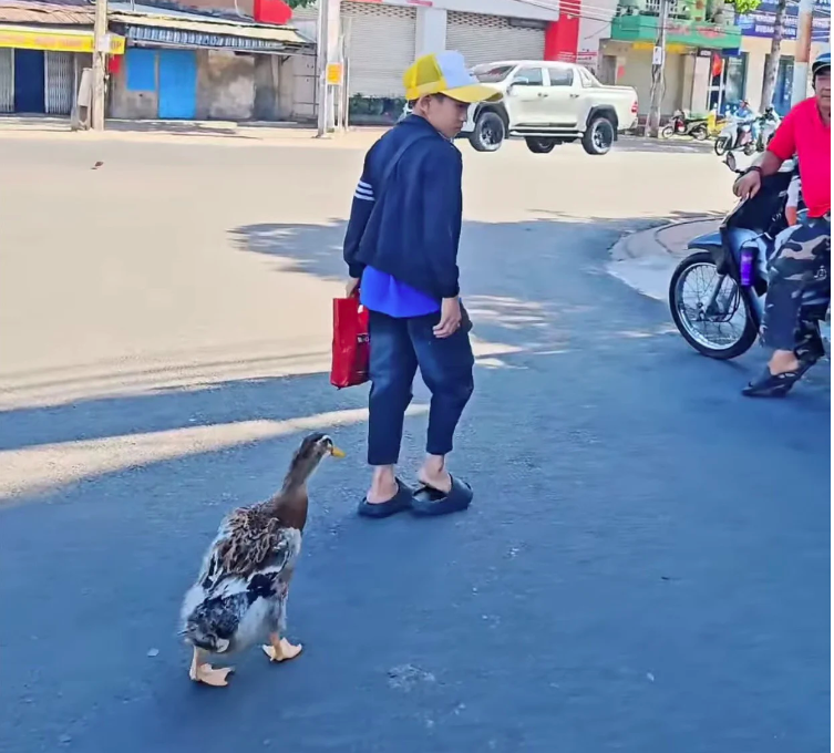 Ch&uacute; vịt lẽo đẽo đi theo cậu b&eacute; b&aacute;n v&eacute; số giữa phố: H&igrave;nh ảnh g&acirc;y ch&uacute; &yacute; trong ng&agrave;y Tết- Ảnh 1.