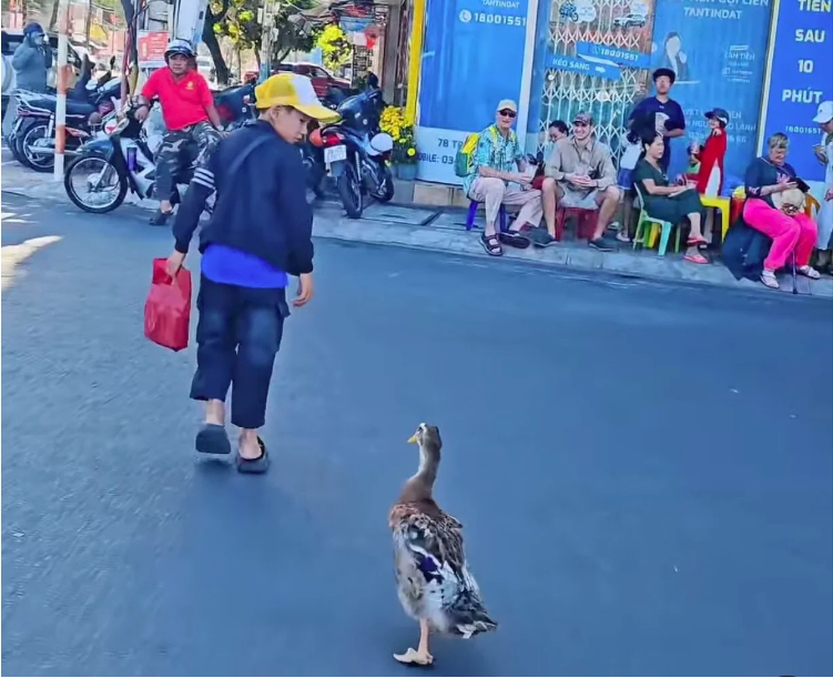 Ch&uacute; vịt lẽo đẽo đi theo cậu b&eacute; b&aacute;n v&eacute; số giữa phố: H&igrave;nh ảnh g&acirc;y ch&uacute; &yacute; trong ng&agrave;y Tết- Ảnh 2.