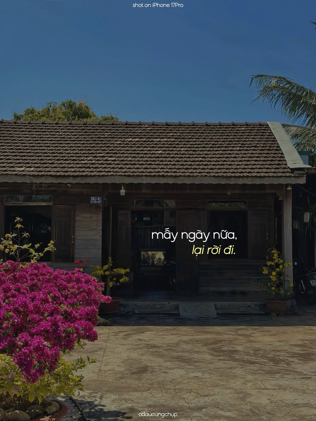 Ch&agrave;o nh&eacute;, Tết đi, m&igrave;nh cũng đi: Bộ ảnh đang viral v&igrave; ai nh&igrave;n v&agrave;o cũng thấy &ldquo;lụy&rdquo; những th&acirc;n thương n&agrave;y- Ảnh 1.