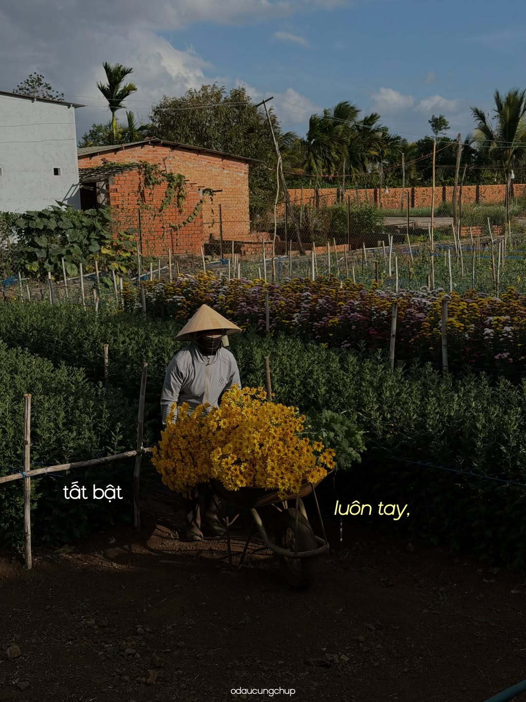 Ch&agrave;o nh&eacute;, Tết đi, m&igrave;nh cũng đi: Bộ ảnh đang viral v&igrave; ai nh&igrave;n v&agrave;o cũng thấy &ldquo;lụy&rdquo; những th&acirc;n thương n&agrave;y- Ảnh 8.