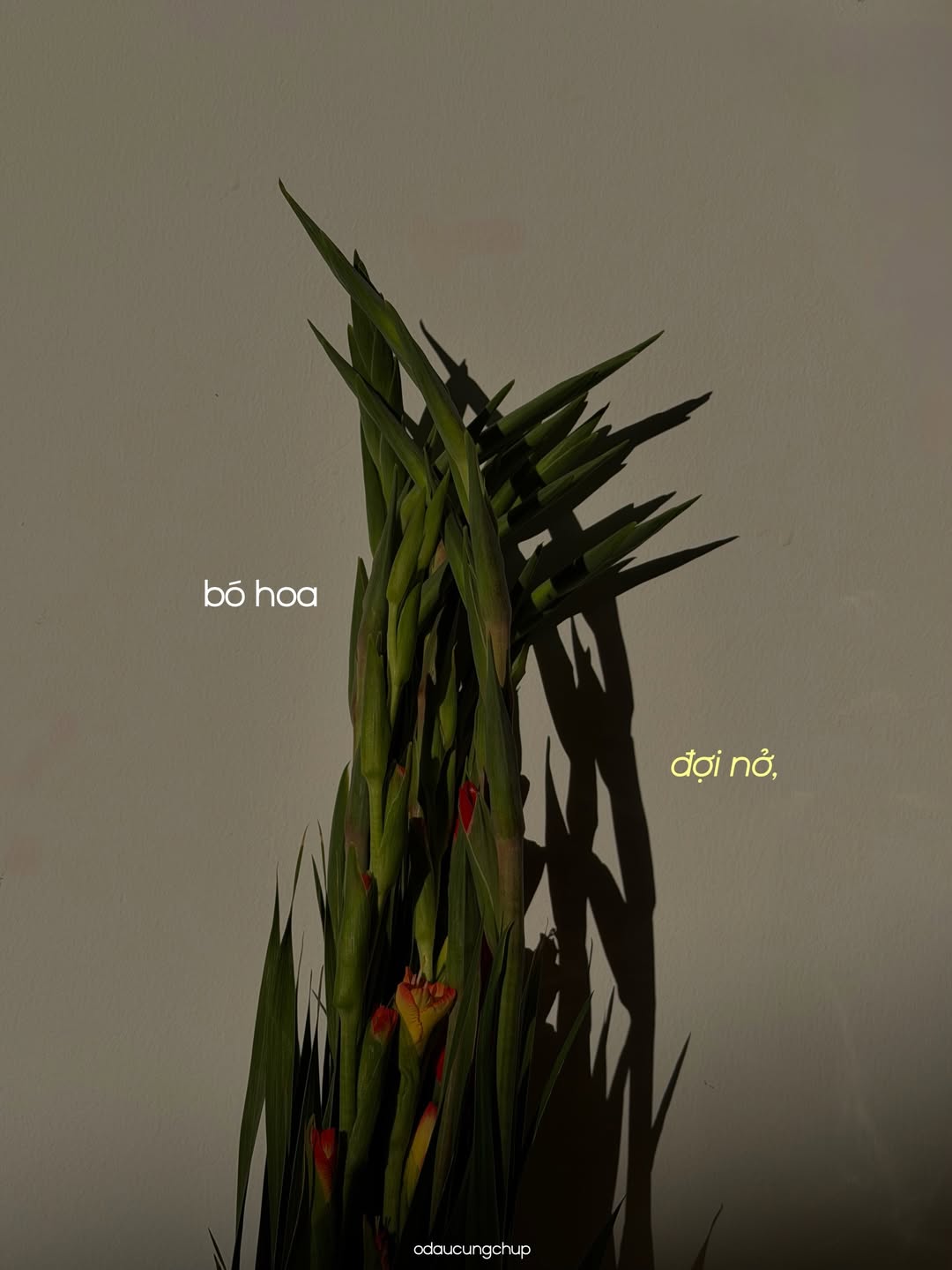 Ch&agrave;o nh&eacute;, Tết đi, m&igrave;nh cũng đi: Bộ ảnh đang viral v&igrave; ai nh&igrave;n v&agrave;o cũng thấy &ldquo;lụy&rdquo; những th&acirc;n thương n&agrave;y- Ảnh 10.