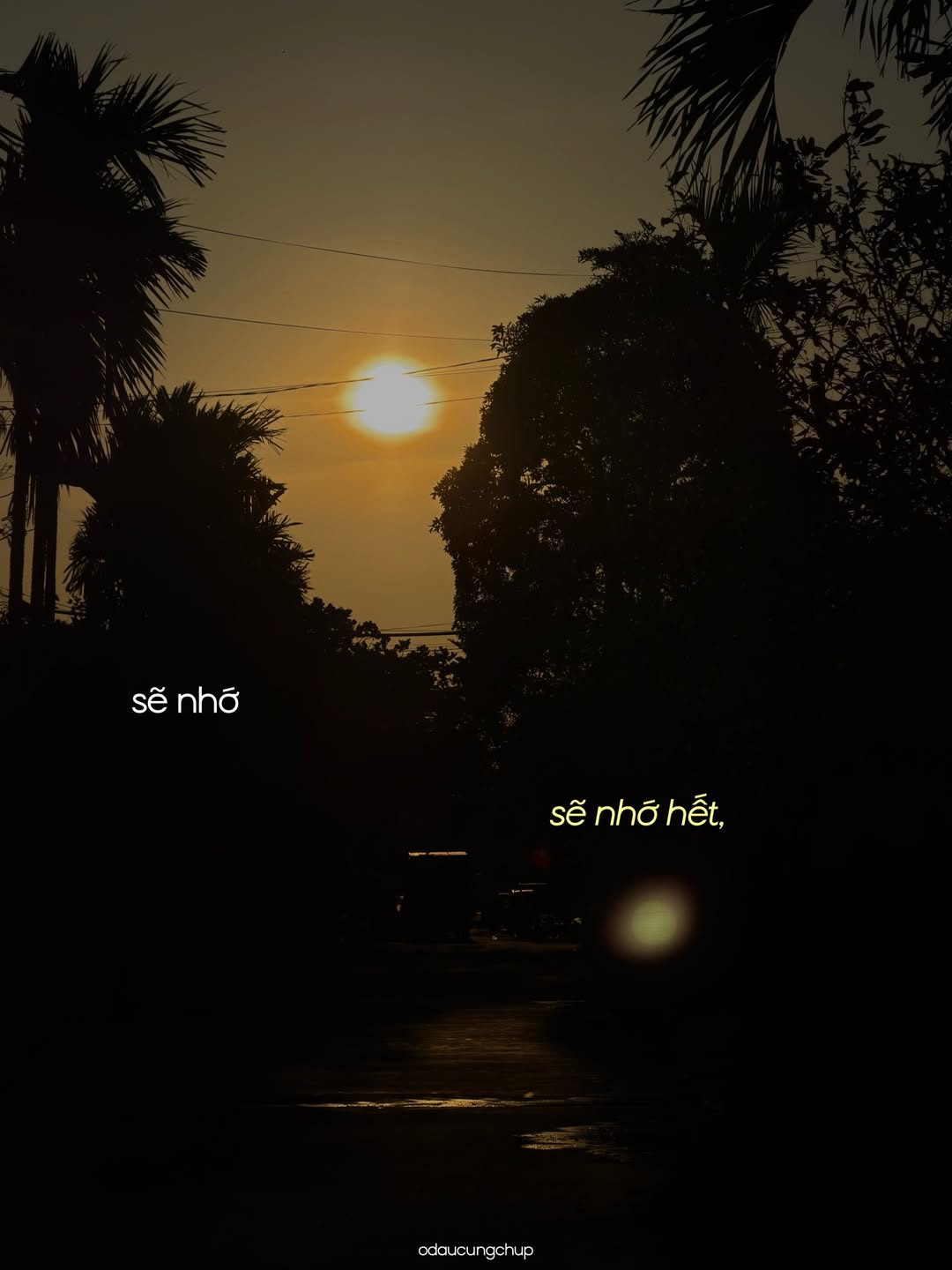 Ch&agrave;o nh&eacute;, Tết đi, m&igrave;nh cũng đi: Bộ ảnh đang viral v&igrave; ai nh&igrave;n v&agrave;o cũng thấy &ldquo;lụy&rdquo; những th&acirc;n thương n&agrave;y- Ảnh 12.