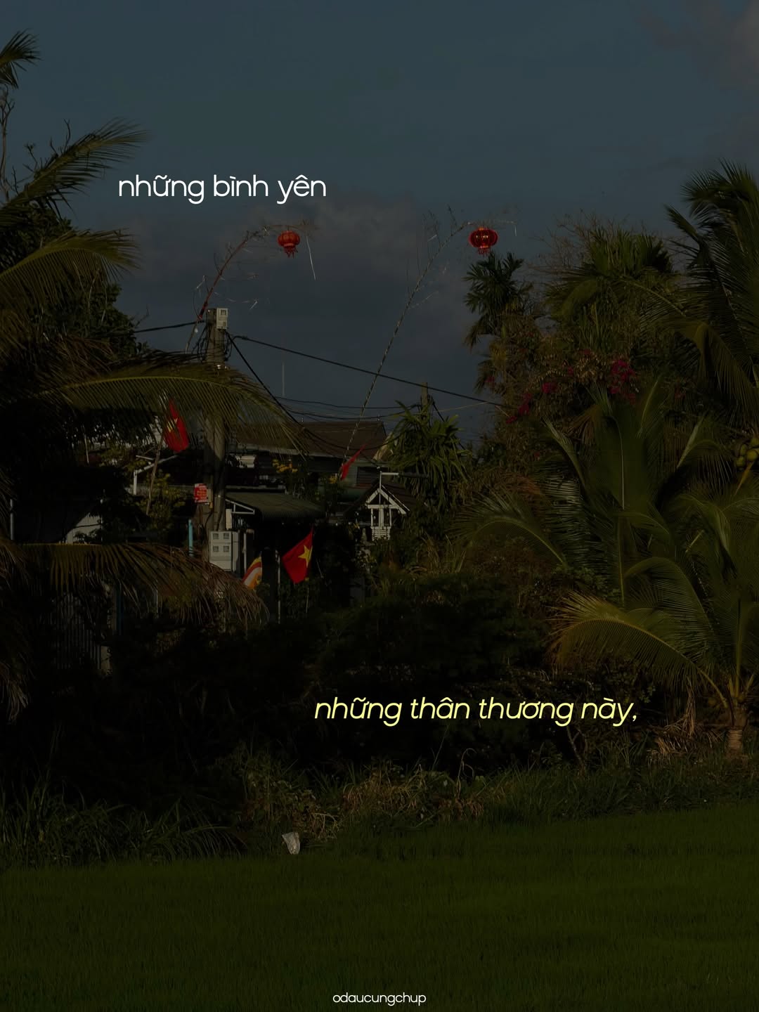 Ch&agrave;o nh&eacute;, Tết đi, m&igrave;nh cũng đi: Bộ ảnh đang viral v&igrave; ai nh&igrave;n v&agrave;o cũng thấy &ldquo;lụy&rdquo; những th&acirc;n thương n&agrave;y- Ảnh 13.