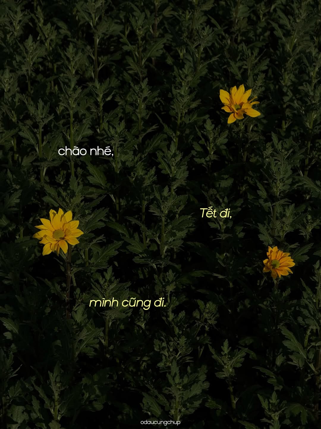 Ch&agrave;o nh&eacute;, Tết đi, m&igrave;nh cũng đi: Bộ ảnh đang viral v&igrave; ai nh&igrave;n v&agrave;o cũng thấy &ldquo;lụy&rdquo; những th&acirc;n thương n&agrave;y- Ảnh 14.