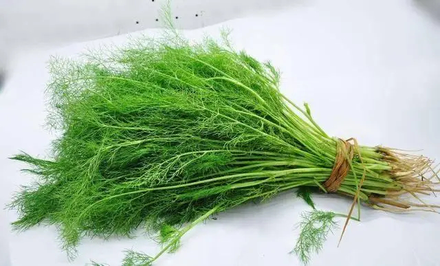 Rau th&igrave; l&agrave; c&oacute; g&acirc;y suy thận? C&aacute;c b&aacute;c sĩ cảnh b&aacute;o: Để tr&aacute;nh tổn thương thận, h&atilde;y ăn &iacute;t 3 loại rau n&agrave;y- Ảnh 1.