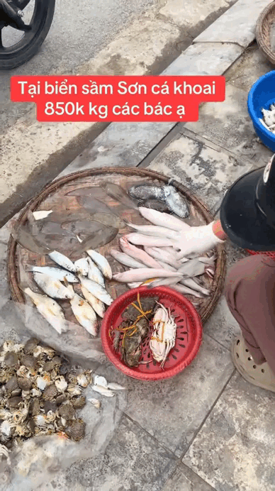 Loại cá mềm như cháo đang "cháy hàng" ngày đầu năm: Giá 1 triệu đồng/kg, có tiền chưa chắc mua được- Ảnh 2. Loài cá mềm như cháo,