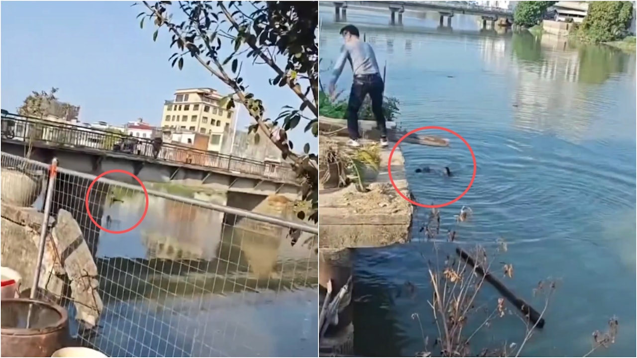 C&atilde;i v&atilde;, bố n&eacute;m con nhỏ xuống s&ocirc;ng, mẹ nhảy xuống cứu- Ảnh 1.