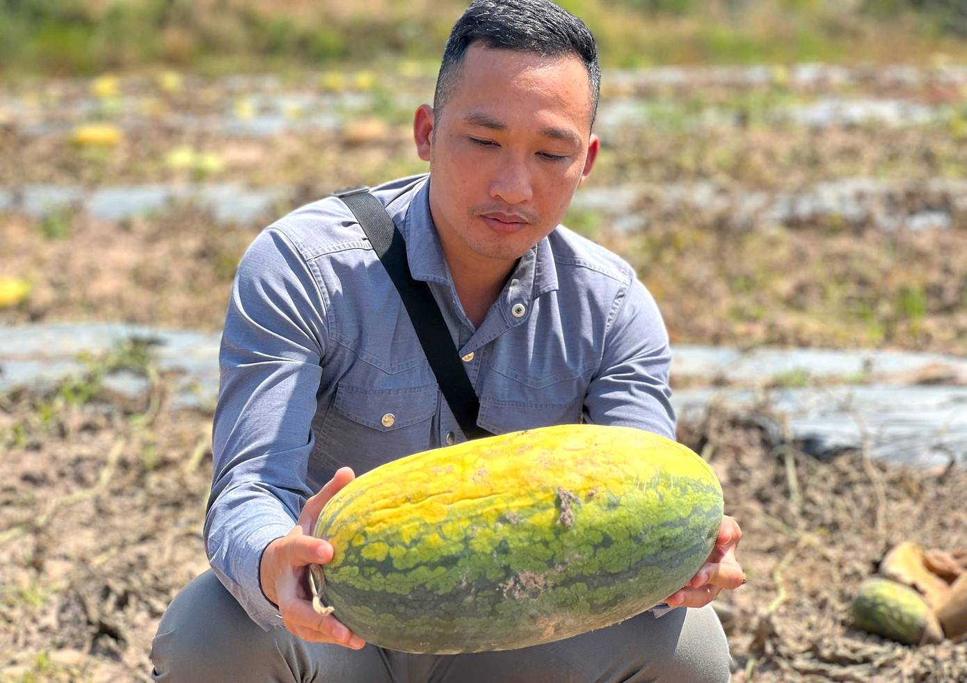 Ruộng dưa hấu hơn 200 tấn bị bỏ thối v&igrave; tranh chấp d&acirc;n sự- Ảnh 17.