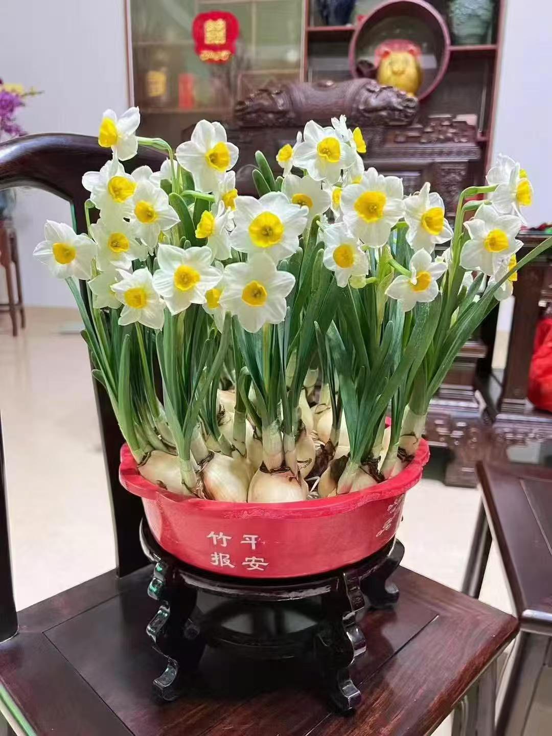 6 loại hoa N&Ecirc;N đặt b&agrave;n thờ ng&agrave;y v&iacute;a Thần T&agrave;i: Mở kho t&agrave;i lộc, tiền v&agrave;o như nước biển Đ&ocirc;ng- Ảnh 2.