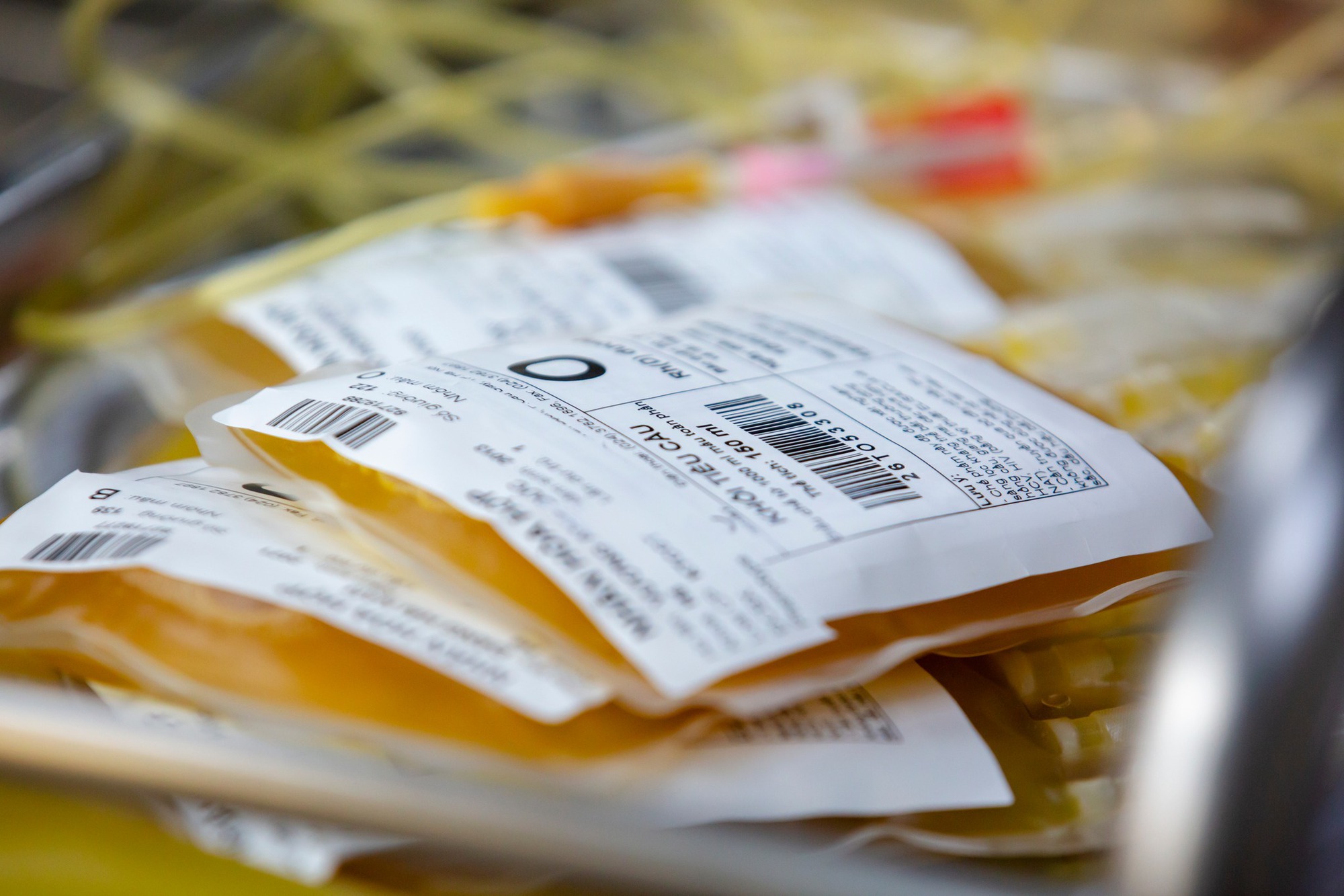 Những ngày đầu năm ấm áp ở Viện Huyết học - Truyền máu trung ương- Ảnh 7. Những ngày đầu năm ấm áp ở Viện Huyết học - Truyền máu trung ương- Ảnh 7.