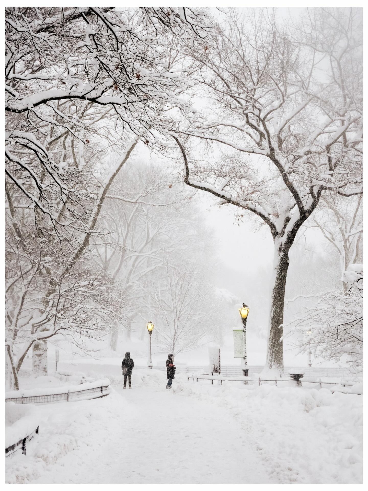 Vừa tỉnh dậy, New York đ&atilde; h&oacute;a xứ tuyết, nhưng ph&iacute;a sau khung cảnh cổ t&iacute;ch n&agrave;y l&agrave; g&igrave;?- Ảnh 4.