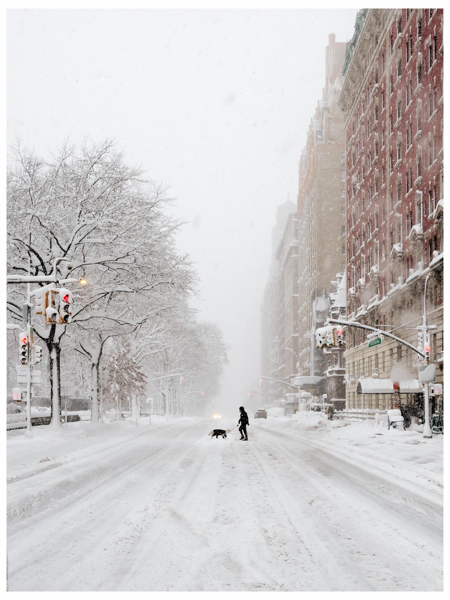 Vừa tỉnh dậy, New York đ&atilde; h&oacute;a xứ tuyết, nhưng ph&iacute;a sau khung cảnh cổ t&iacute;ch n&agrave;y l&agrave; g&igrave;?- Ảnh 1.