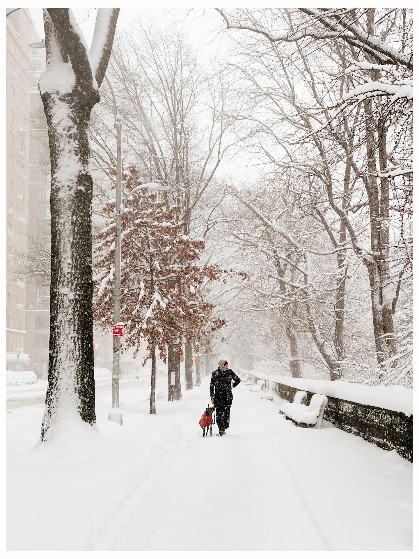 Vừa tỉnh dậy, New York đ&atilde; h&oacute;a xứ tuyết, nhưng ph&iacute;a sau khung cảnh cổ t&iacute;ch n&agrave;y l&agrave; g&igrave;?- Ảnh 2.