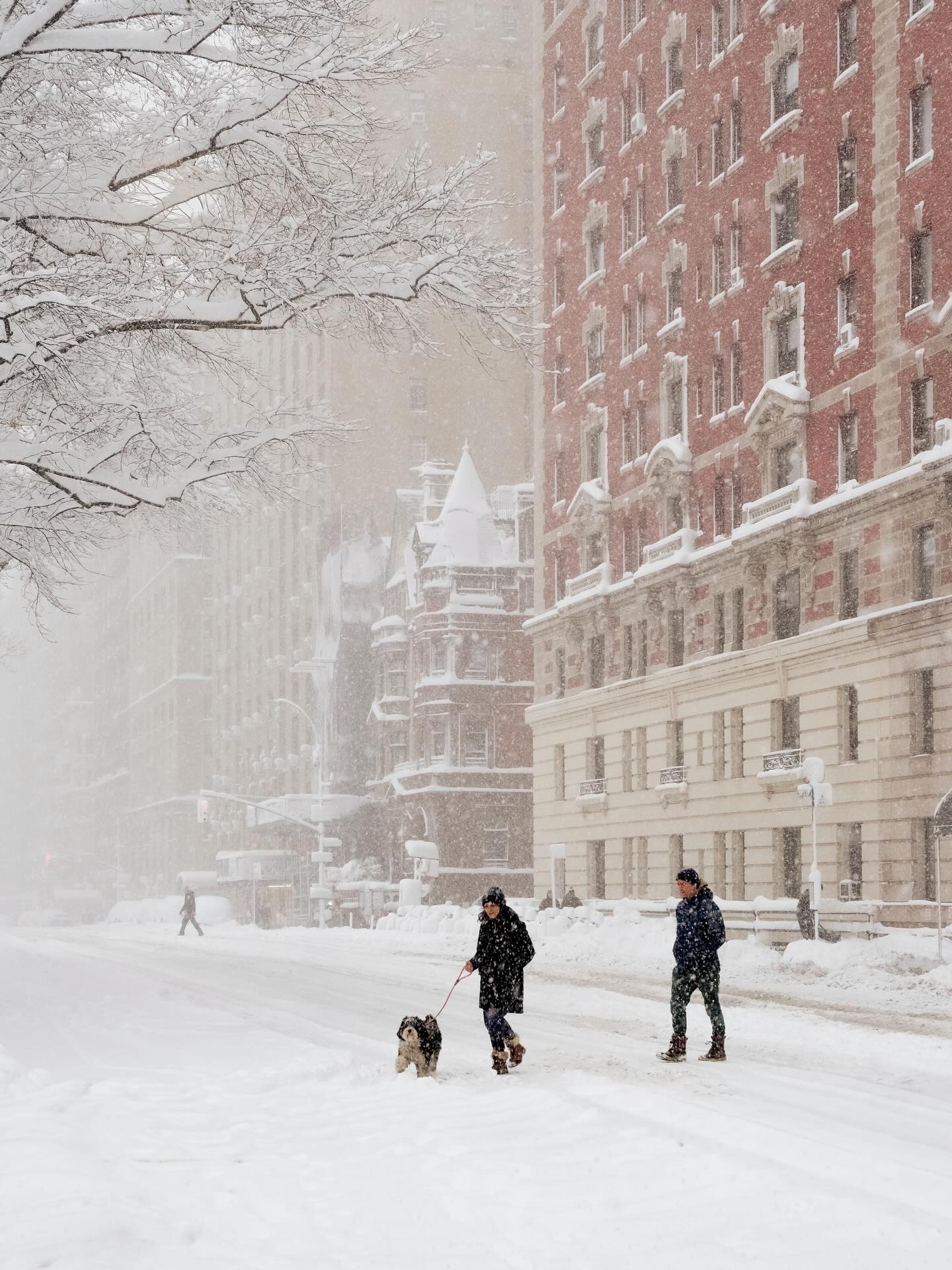 Ph&iacute;a sau khung cảnh New York trắng x&oacute;a như cổ t&iacute;ch những ng&agrave;y n&agrave;y- Ảnh 1.